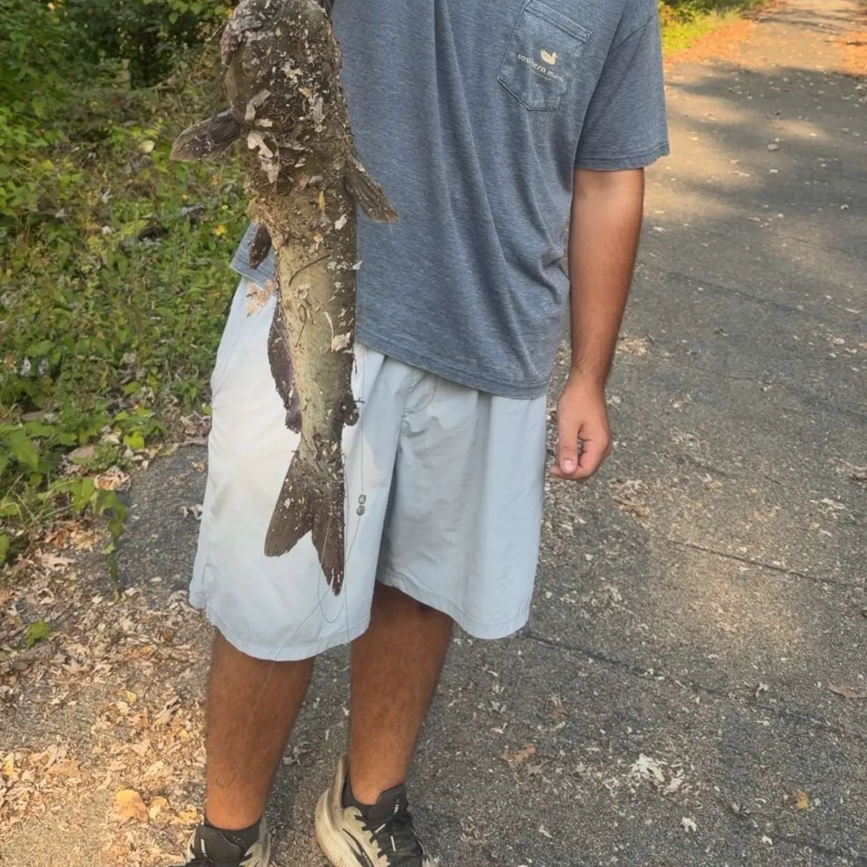 Channel catfish caught on Fishbrain