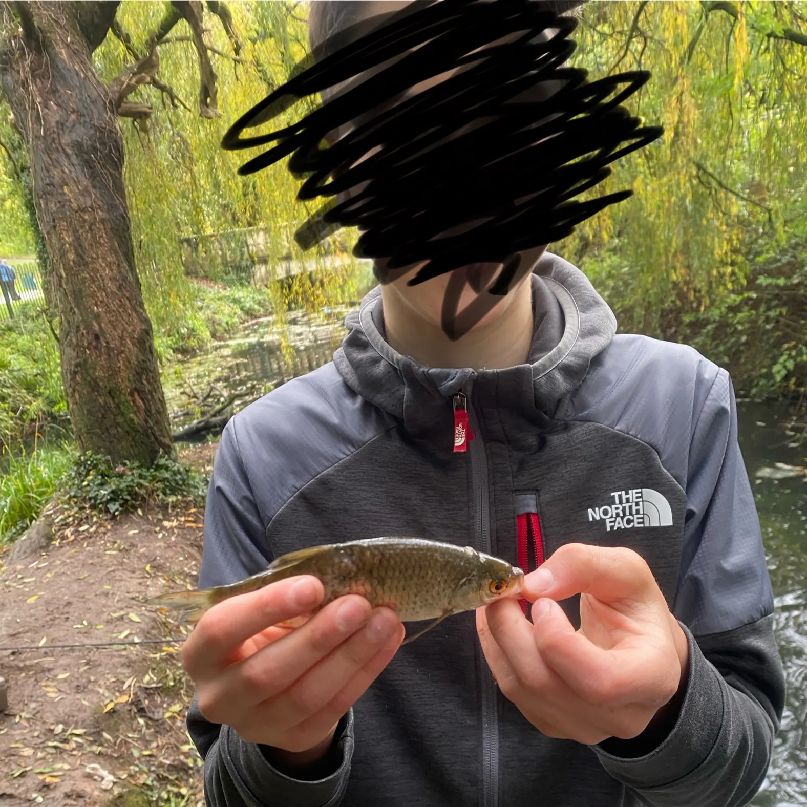 The most recent Common roach catches on Fishbrain