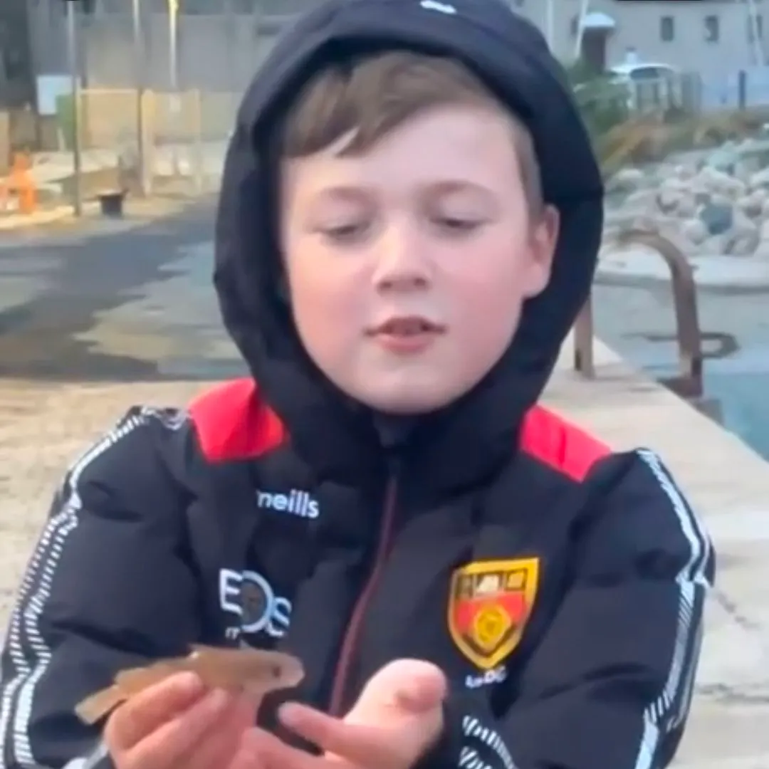 European seabass caught on Fishbrain
