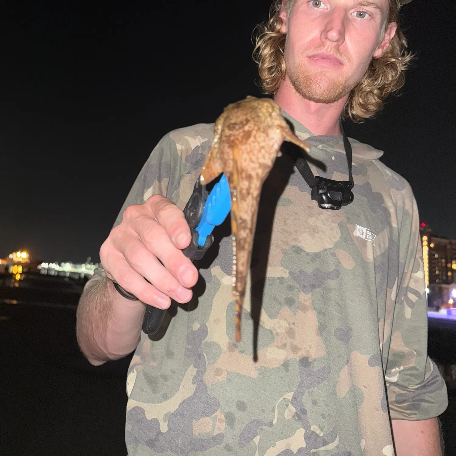 Oyster toadfish caught on Fishbrain