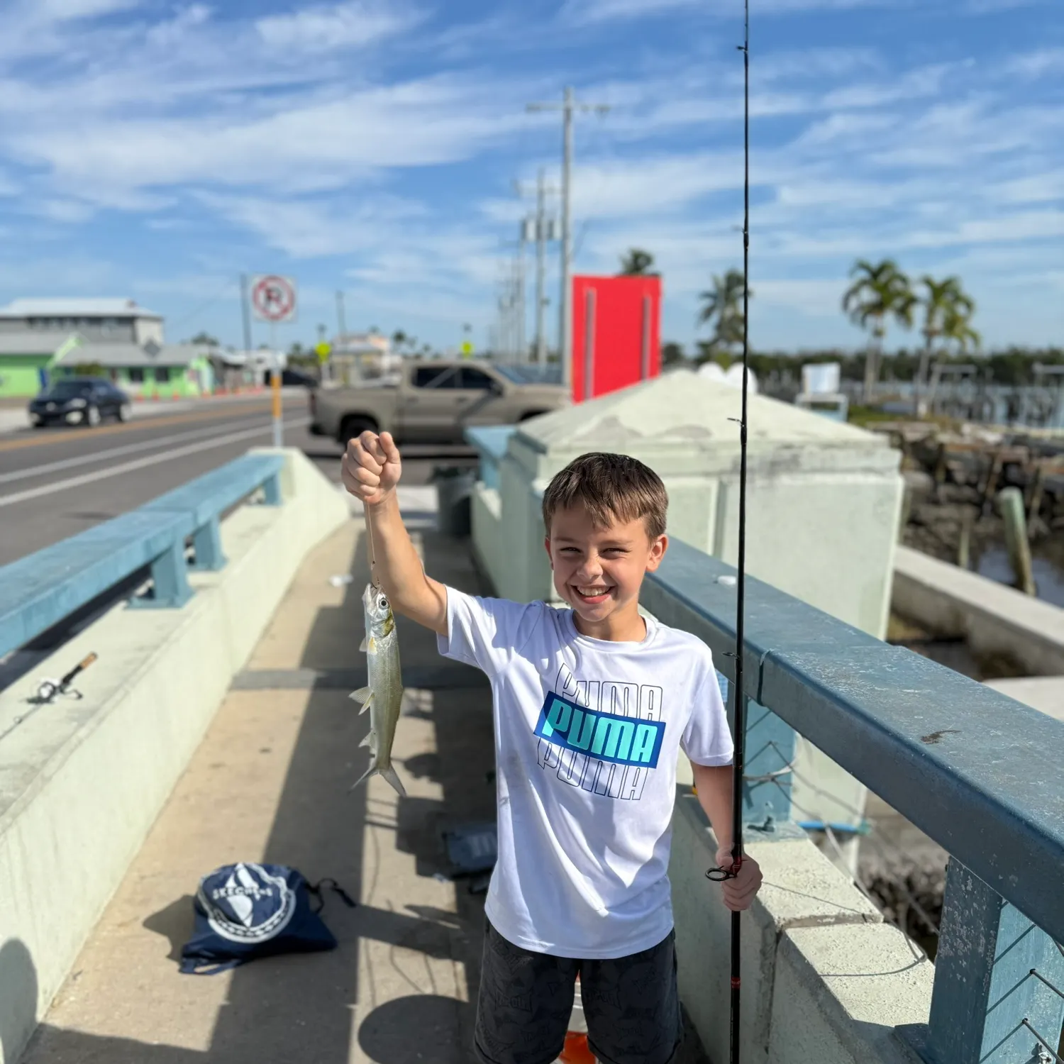 The most recent Tarpon Snook catches on Fishbrain