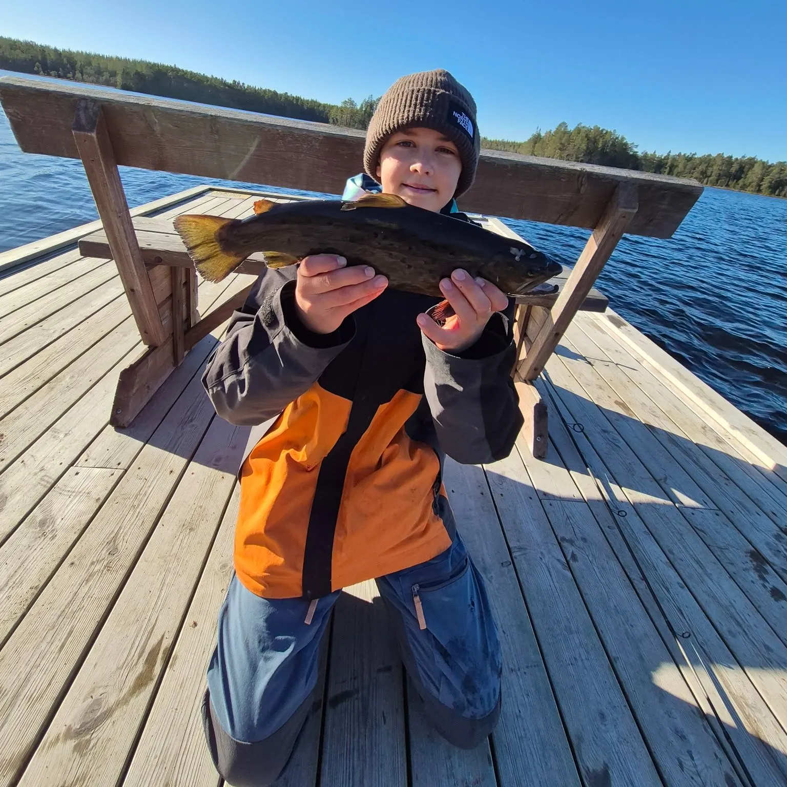 Brown trout caught on Fishbrain