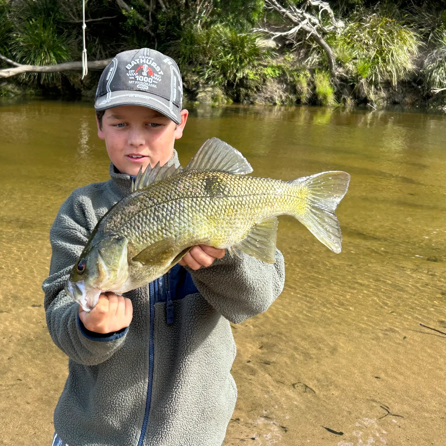 The most recent Australian bass catches on Fishbrain