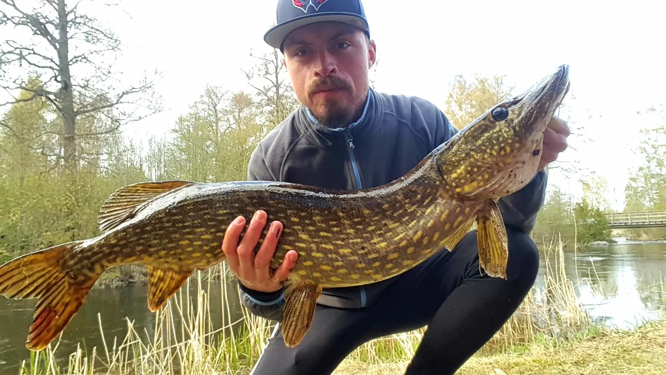 Post image from JPsson