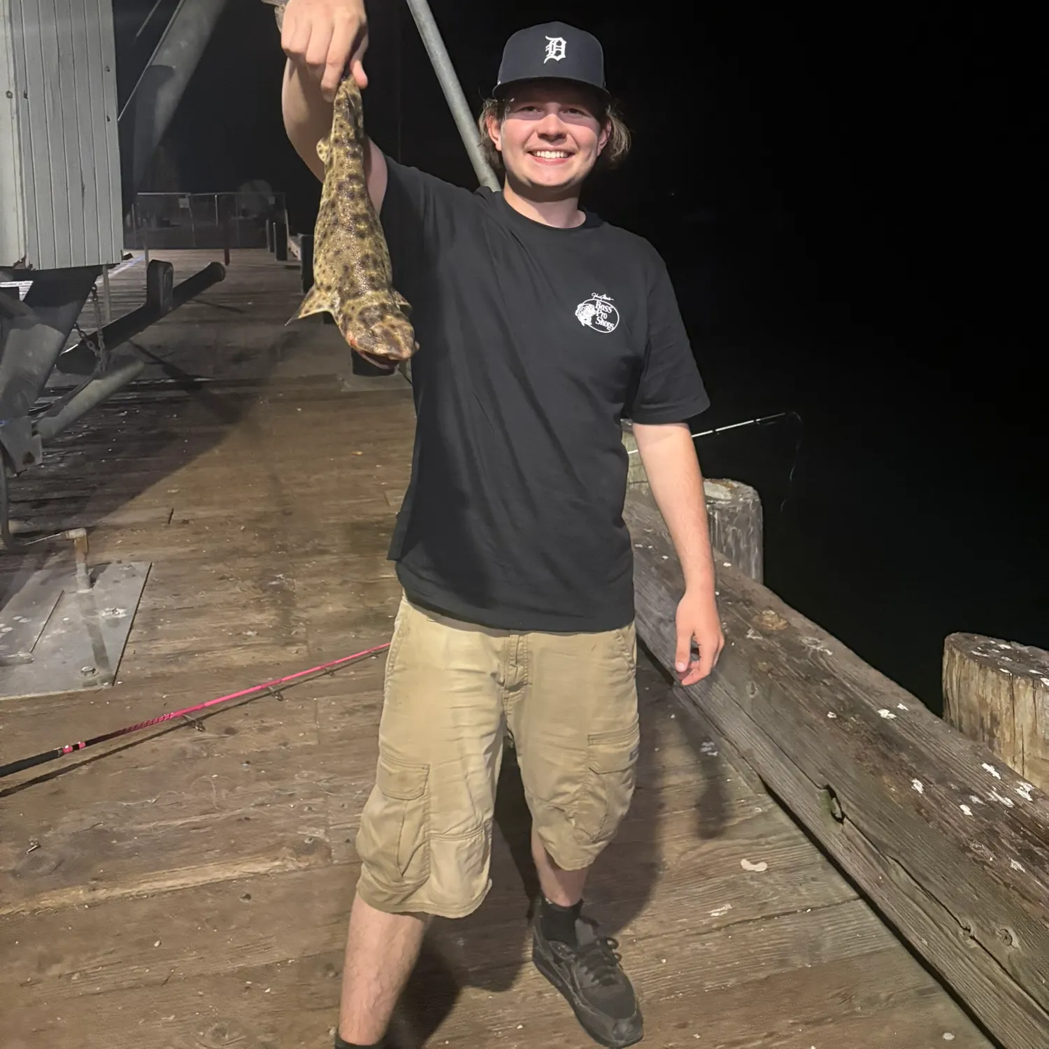 The most recent Swellshark catches on Fishbrain