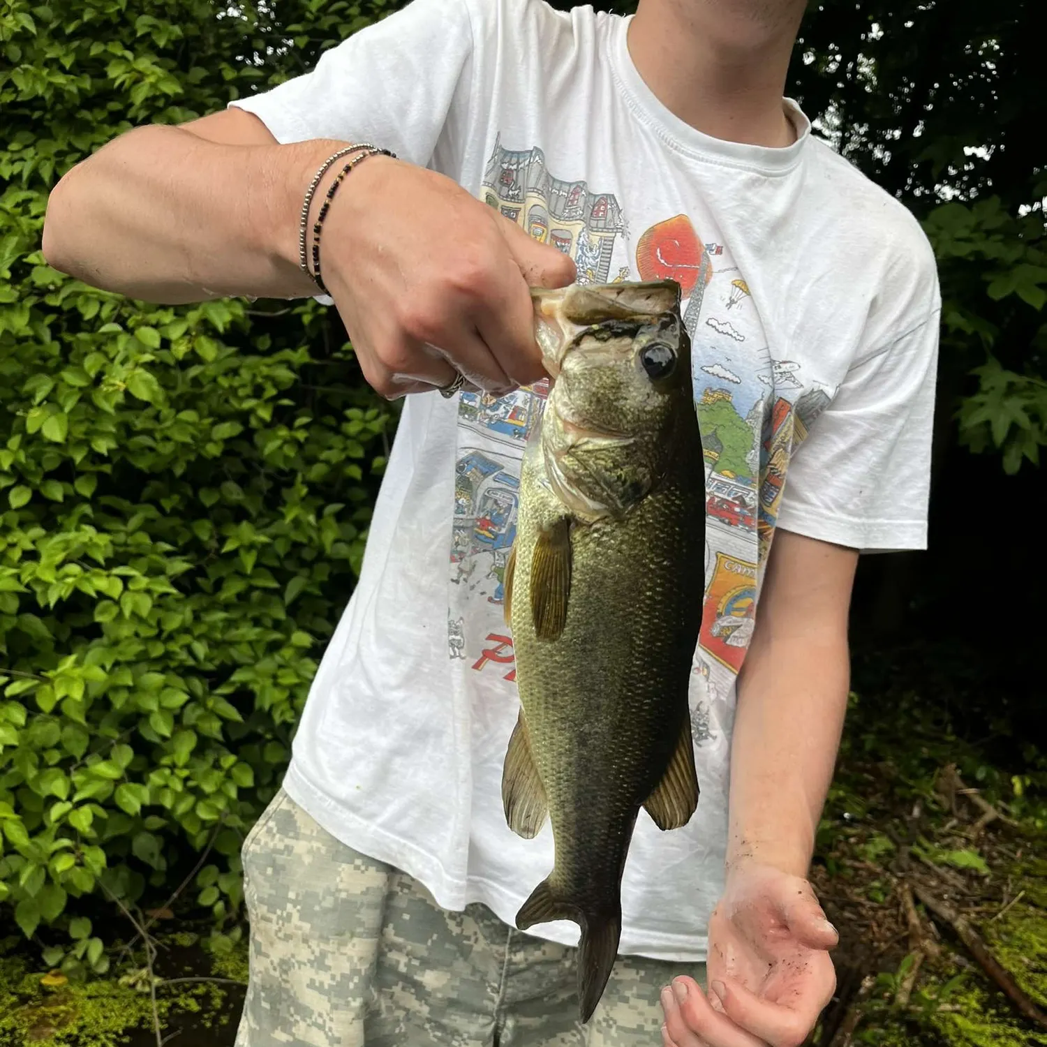 Largemouth bass caught on Fishbrain