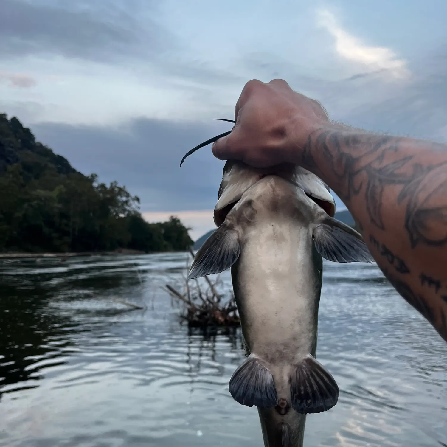 catch