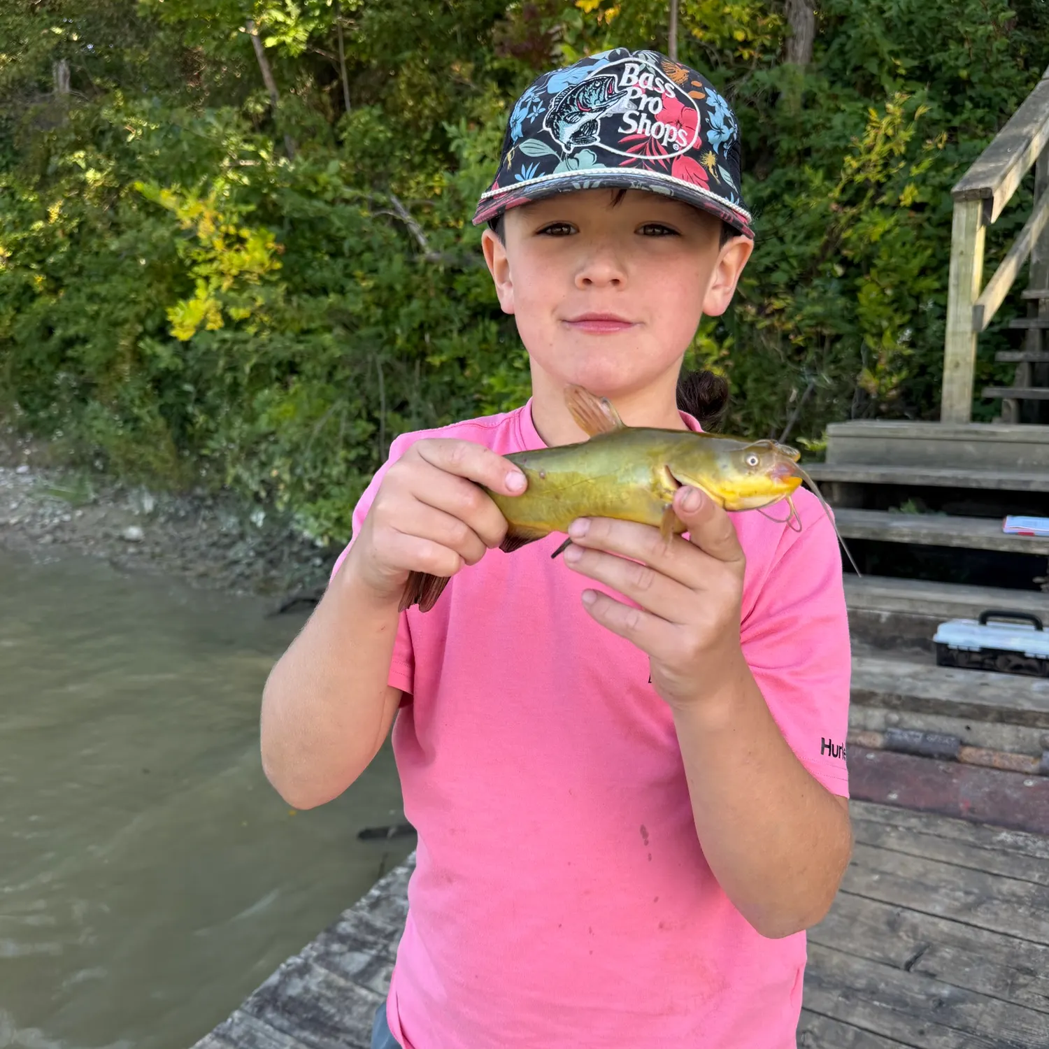 Yellow bullhead caught on Fishbrain