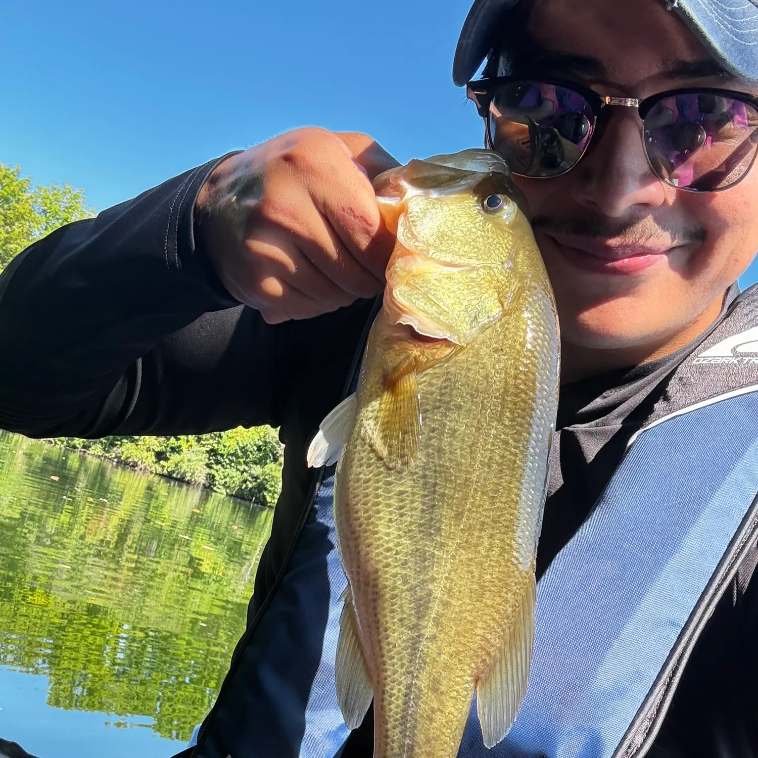 Largemouth bass caught on Fishbrain