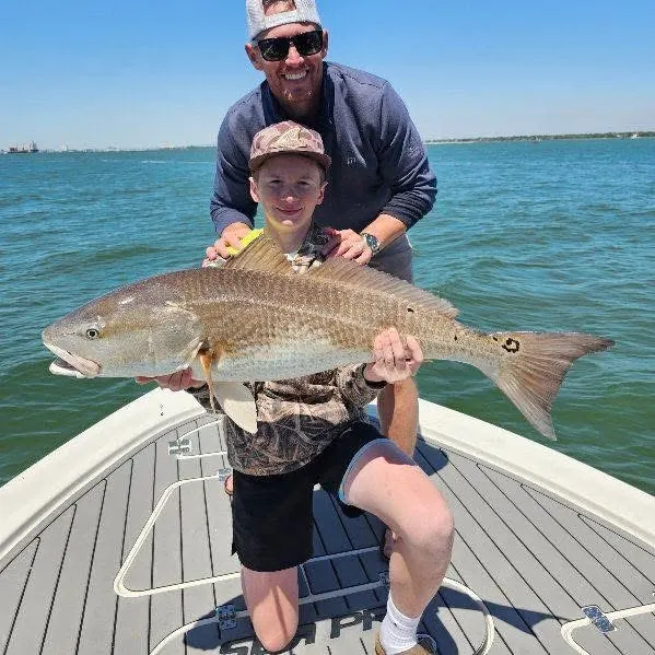 most liked catch image