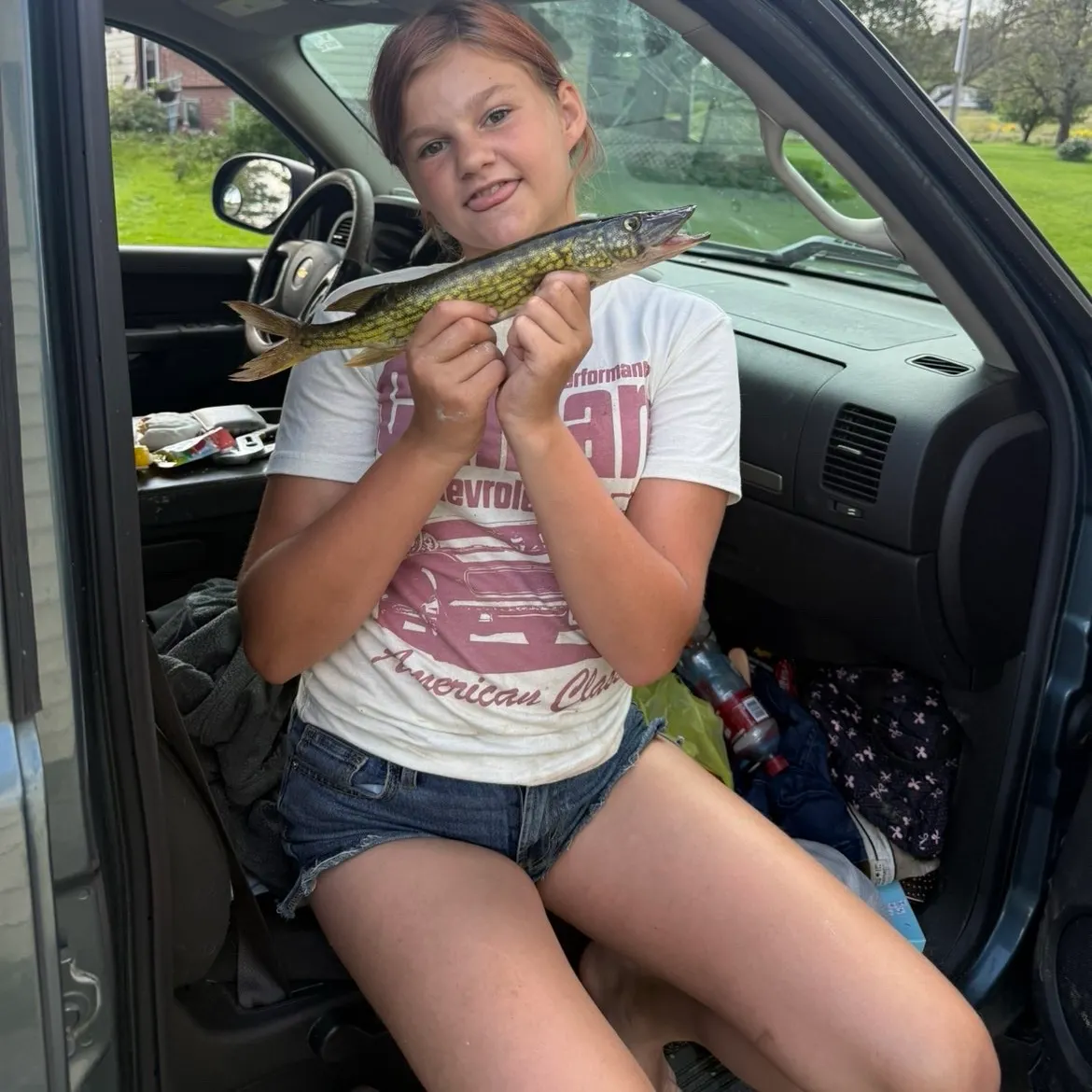Grass pickerel caught on Fishbrain