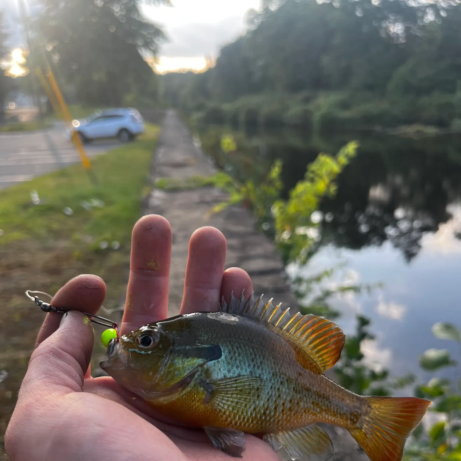 catch