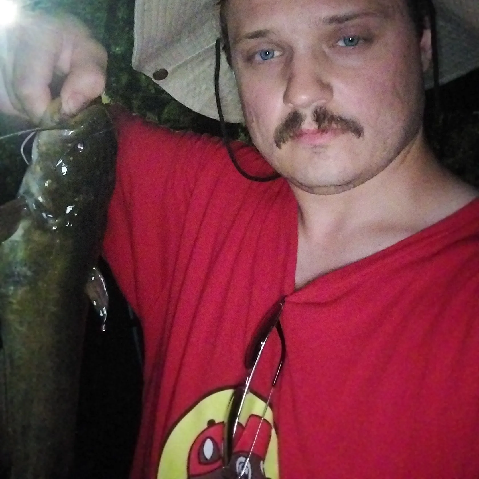 most liked catch image