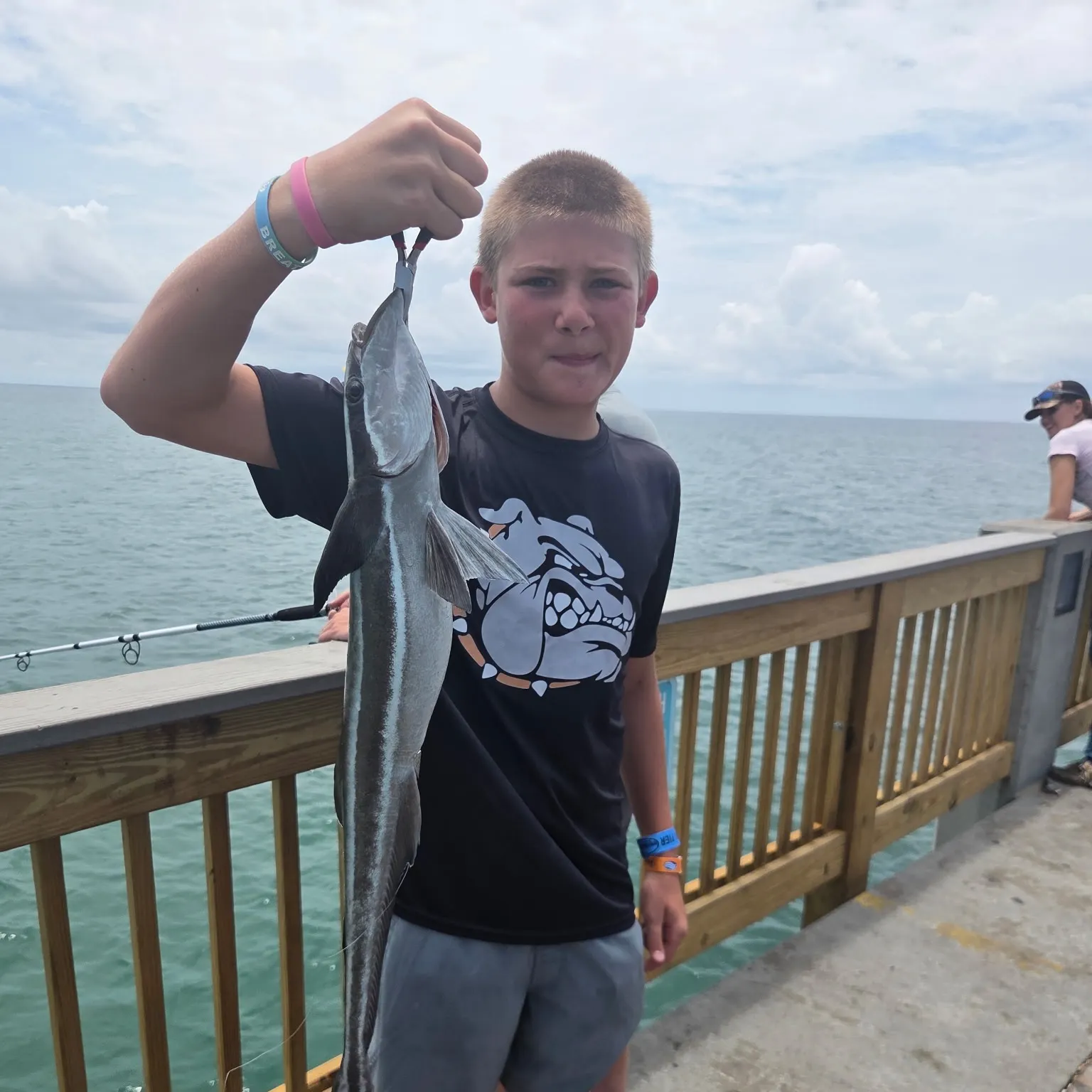 The most recent Live sharksucker catches on Fishbrain