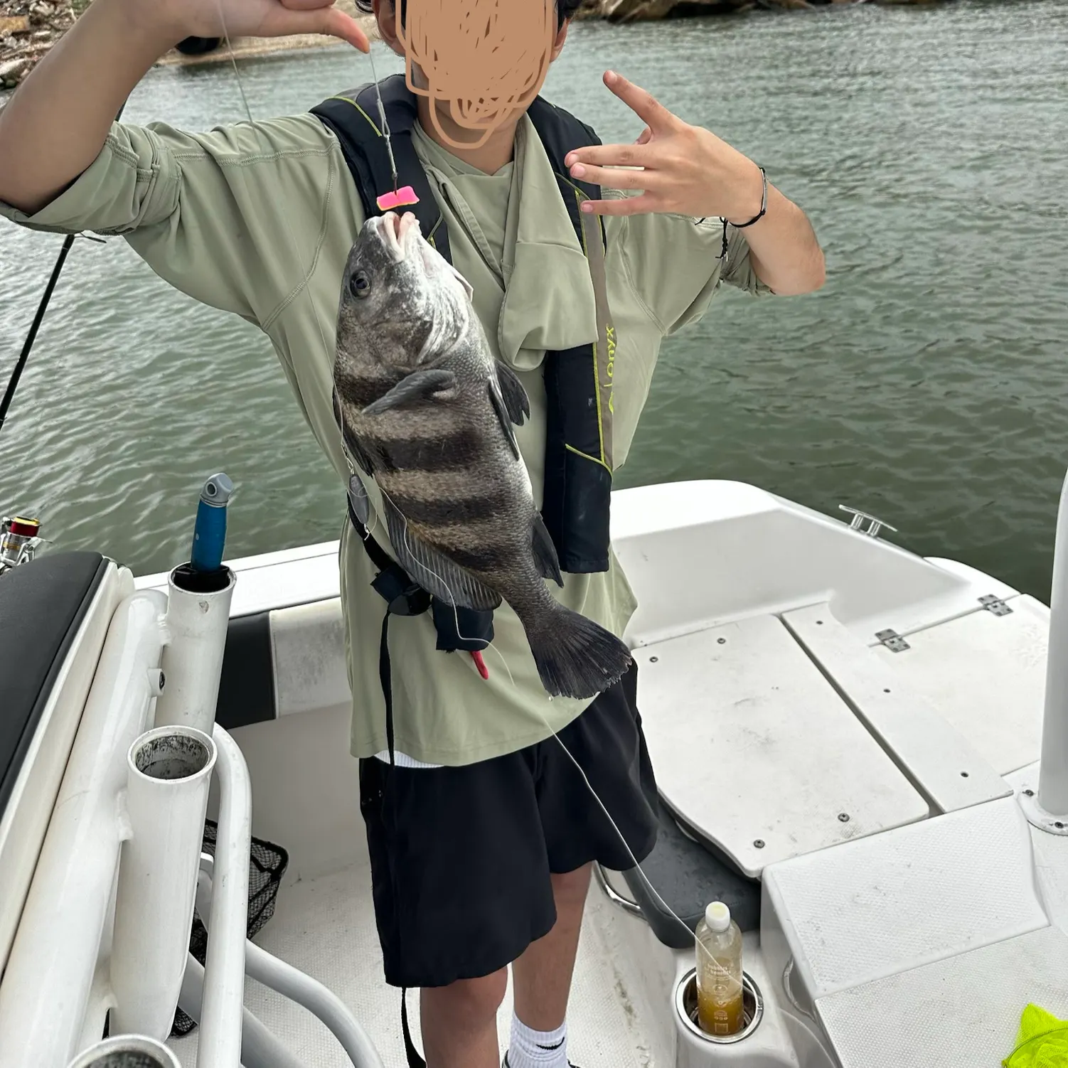 The most recent Black drum catches on Fishbrain