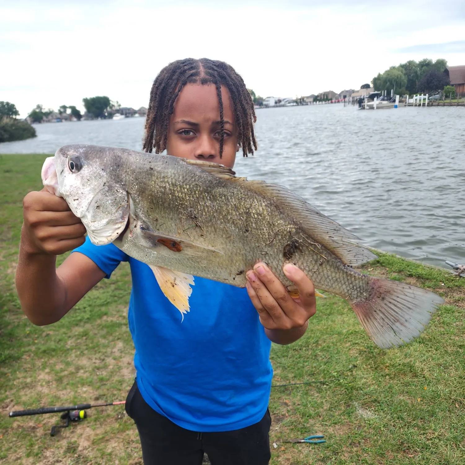 Freshwater drum caught on Fishbrain