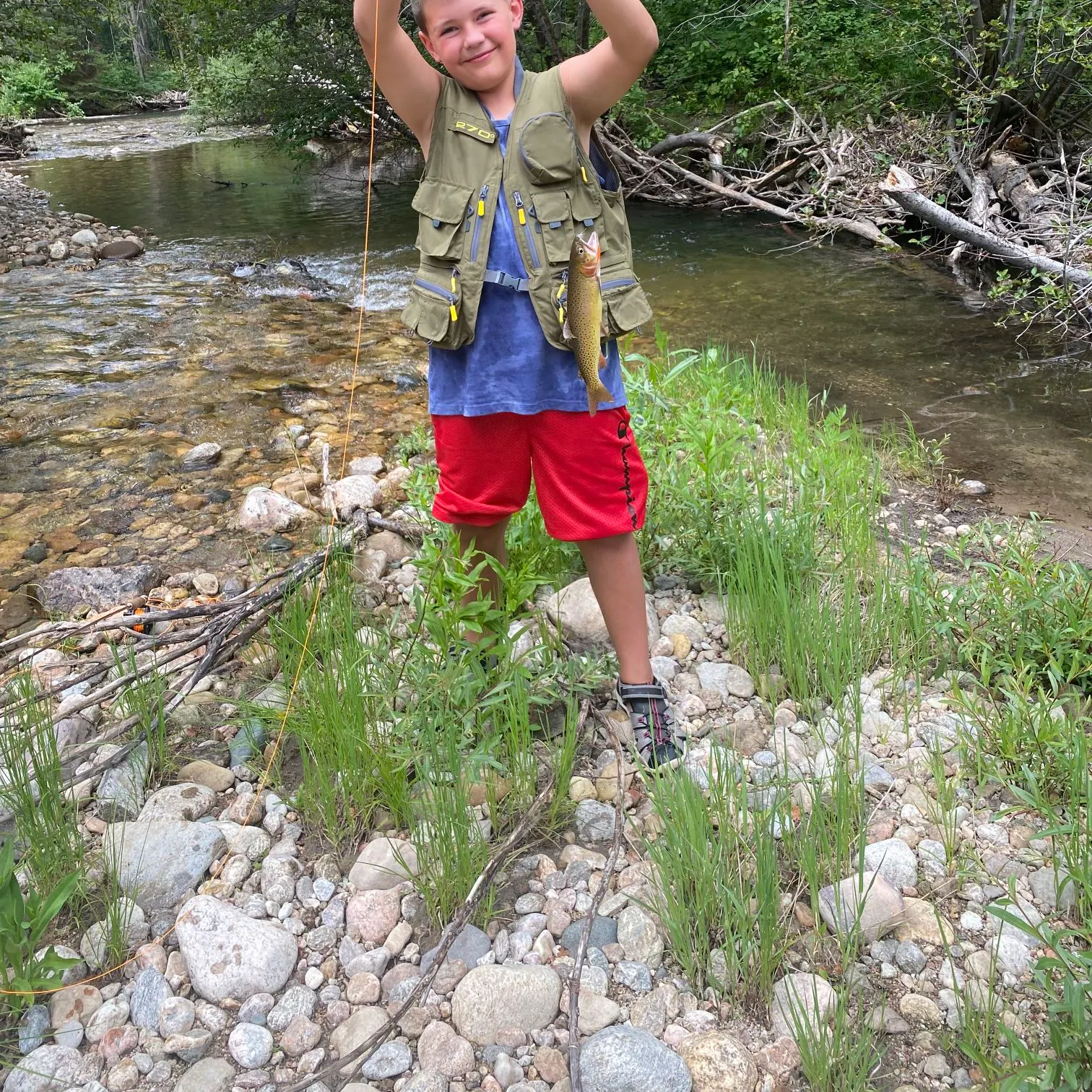 The most recent Yellowstone cutthroat trout catches on Fishbrain