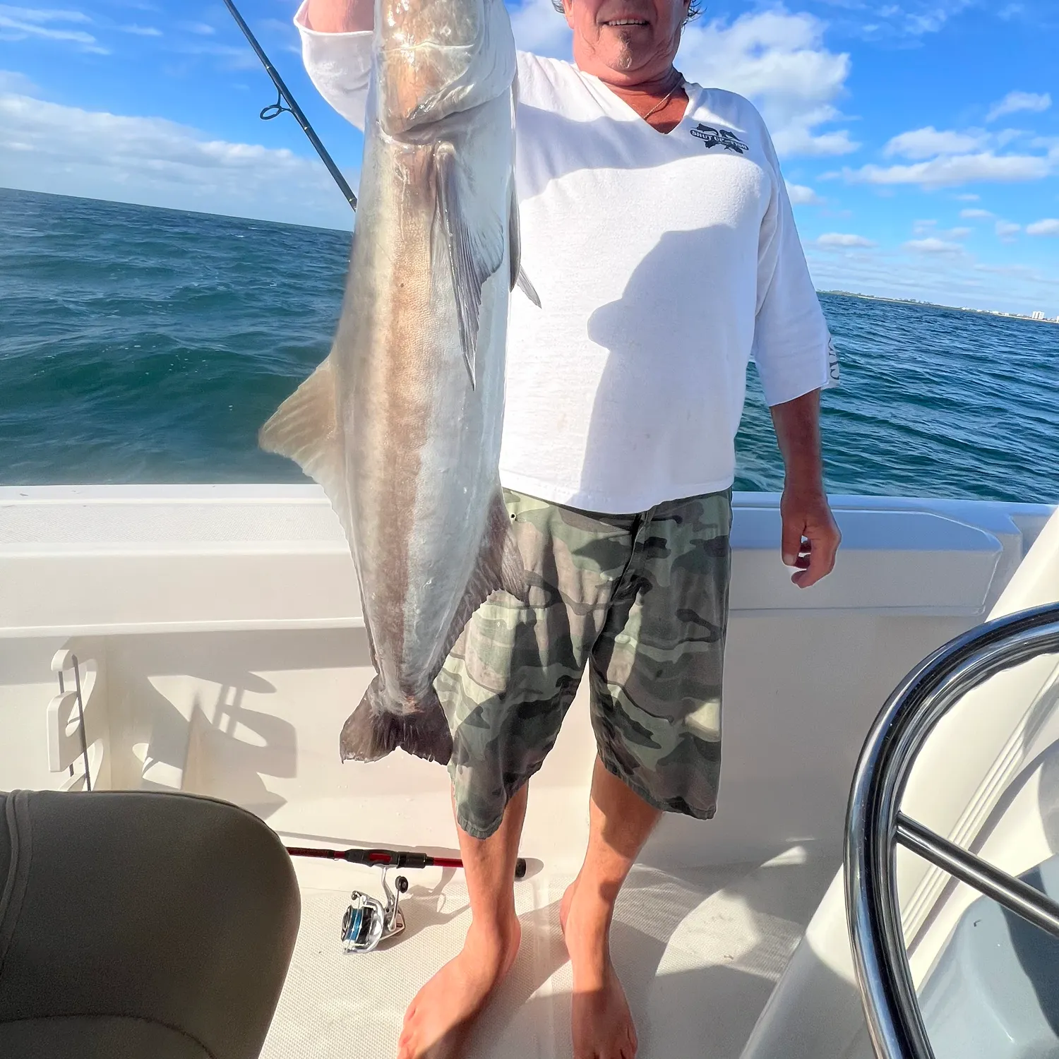 The most recent Cobia catches on Fishbrain