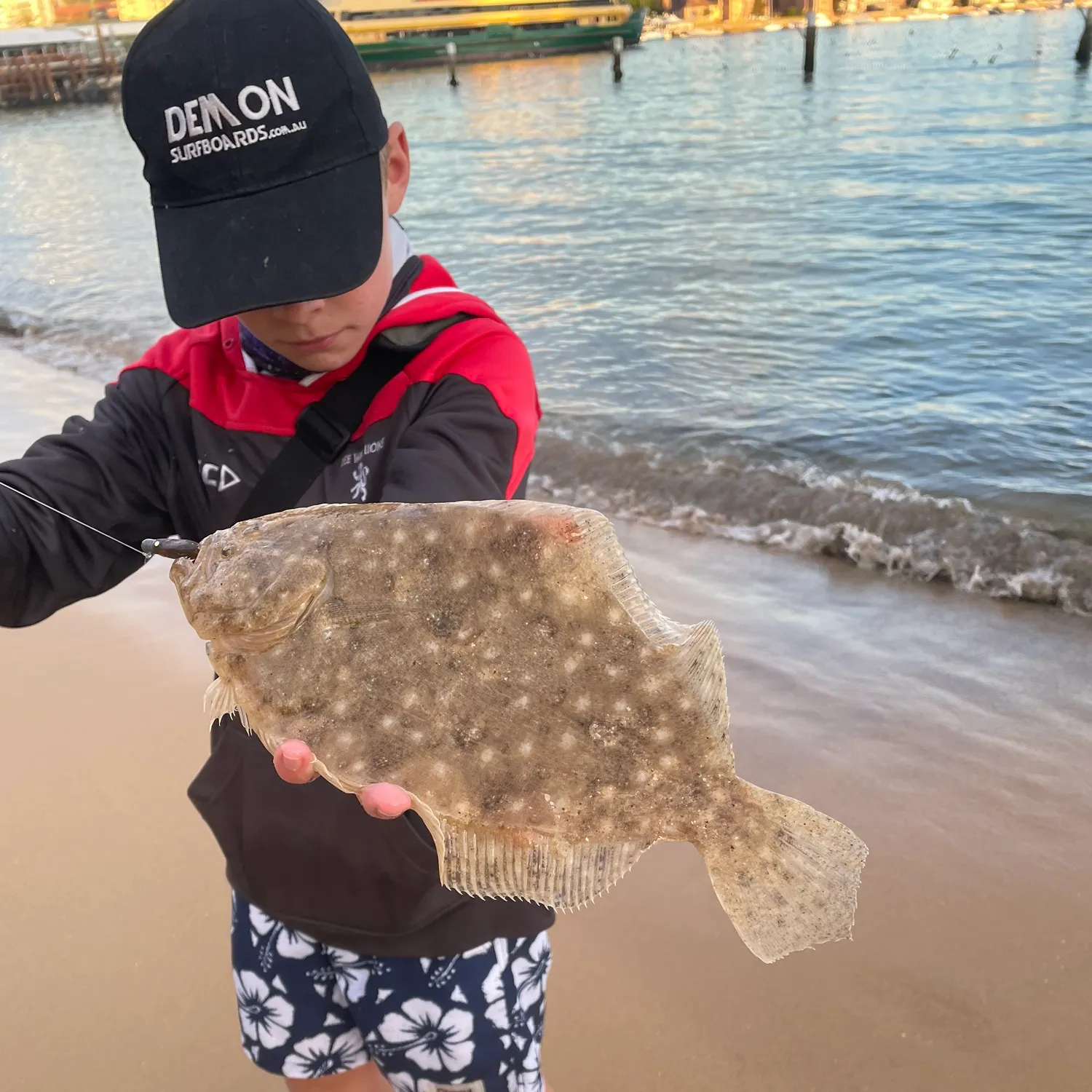 The most recent Largetooth flounder catches on Fishbrain
