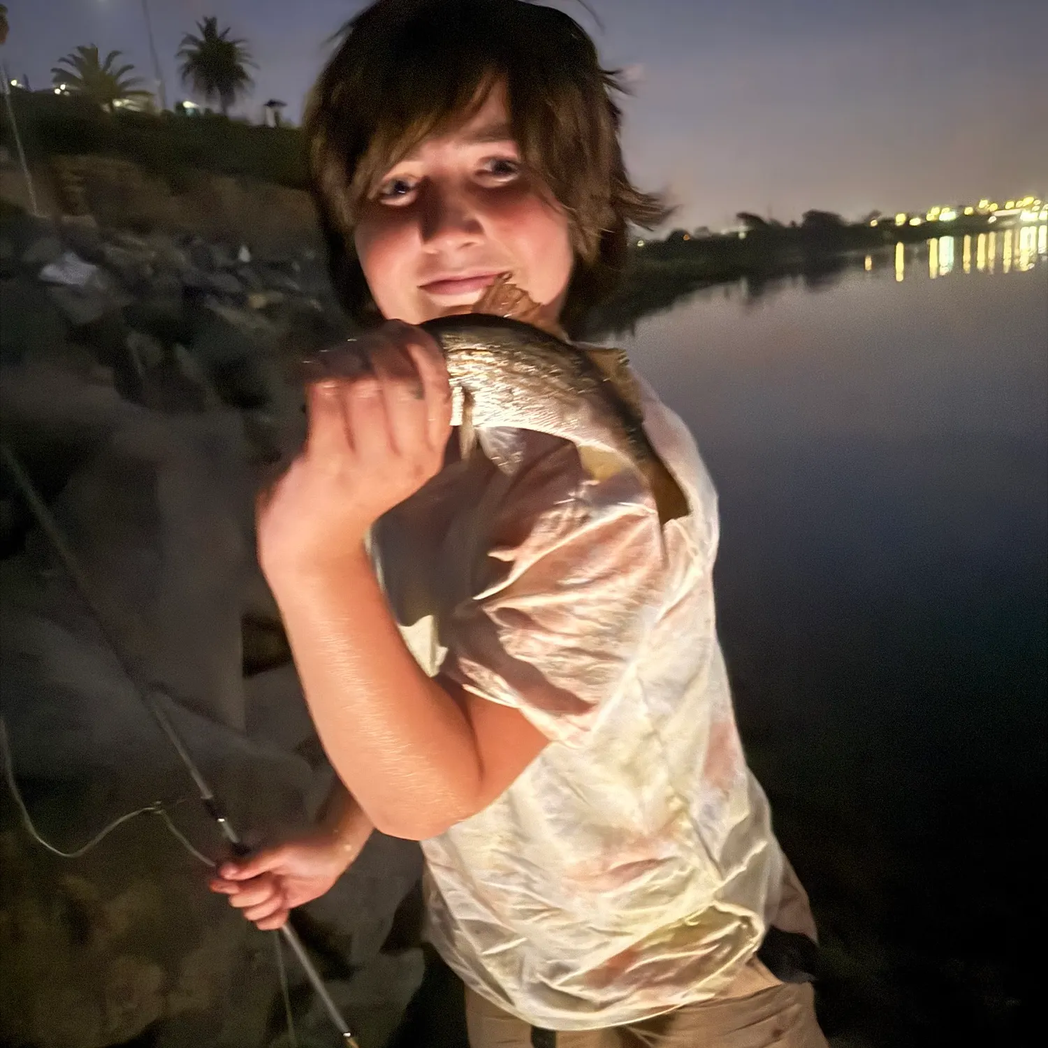 The most recent Salema porgy catches on Fishbrain