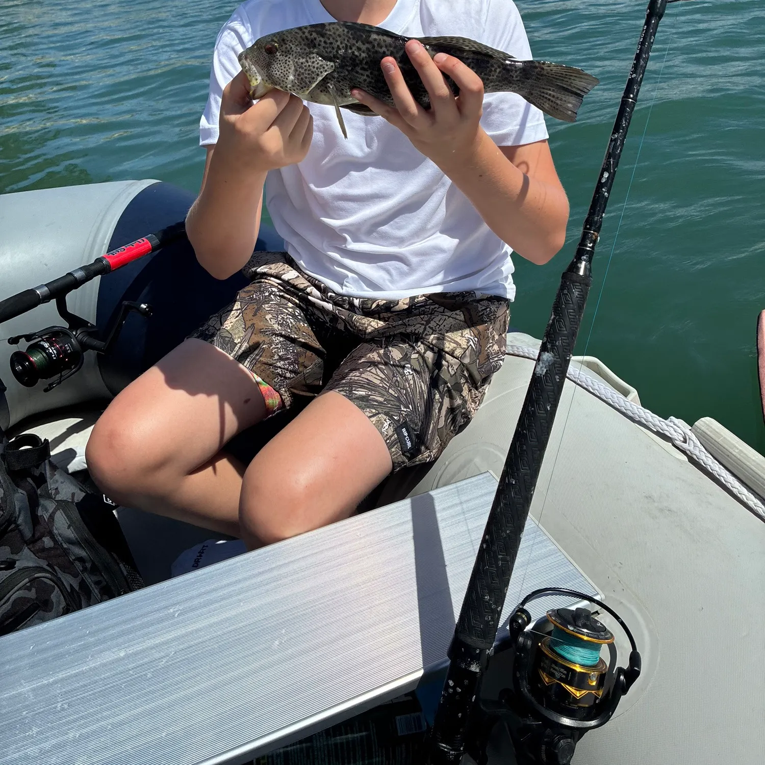 Spotted sand bass caught on Fishbrain