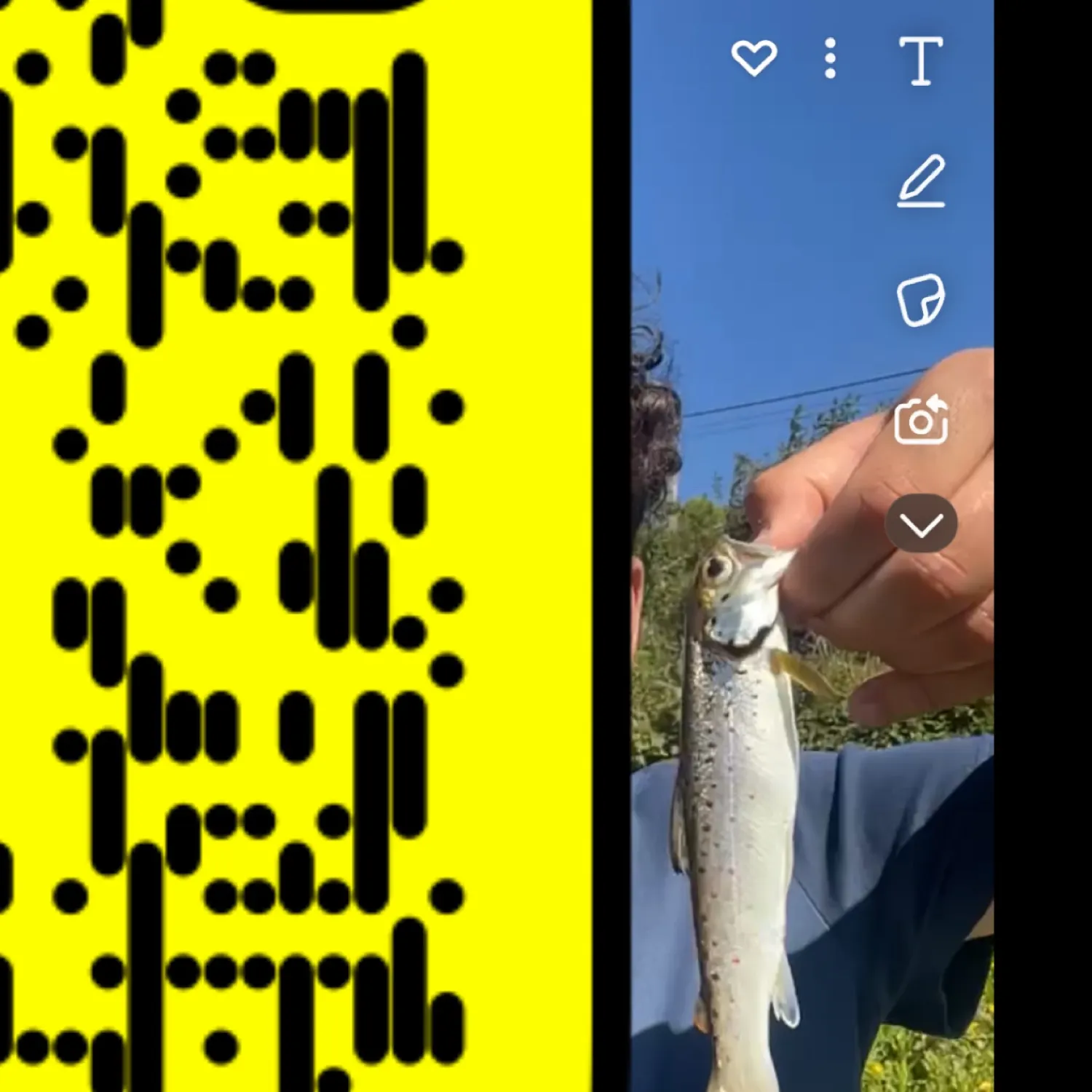 most liked catch image