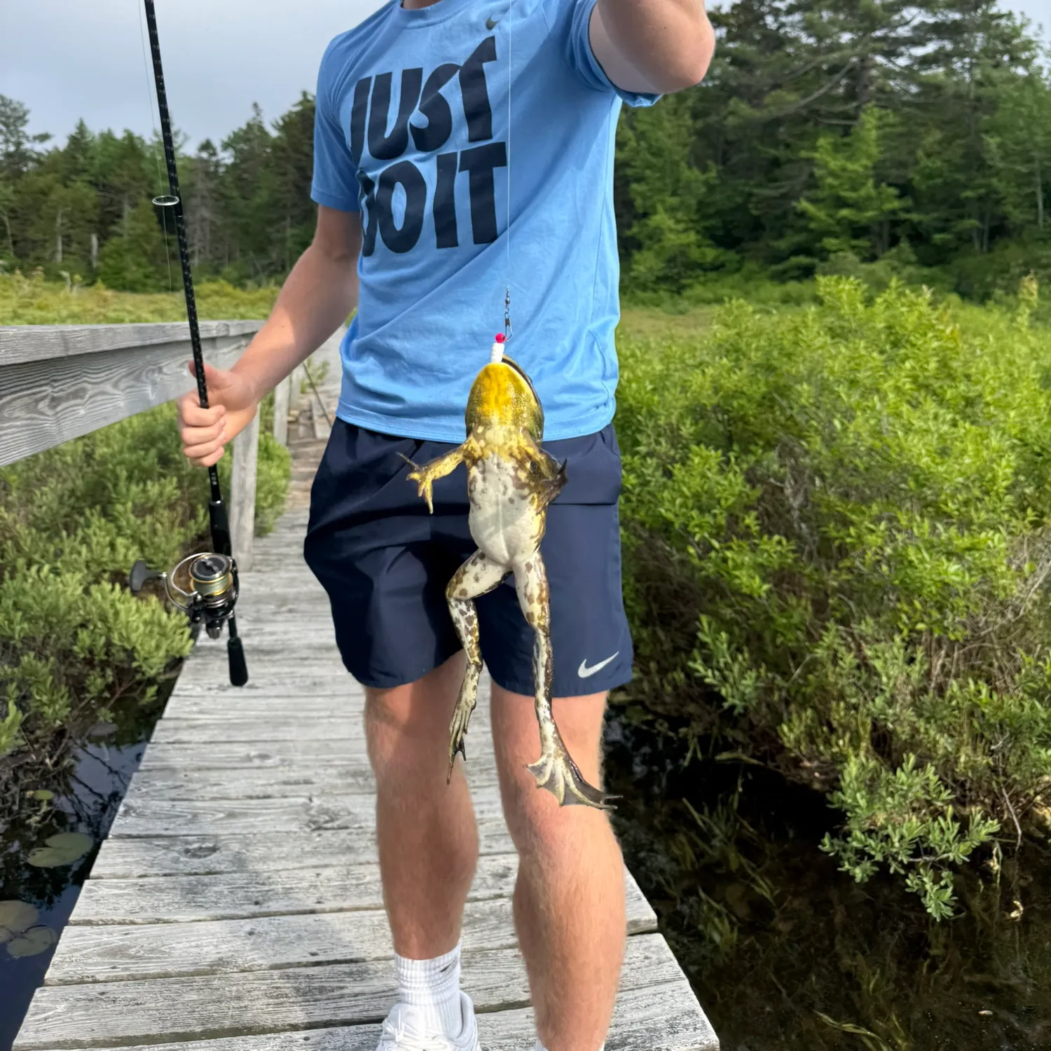 The most recent Frogface goby catches on Fishbrain