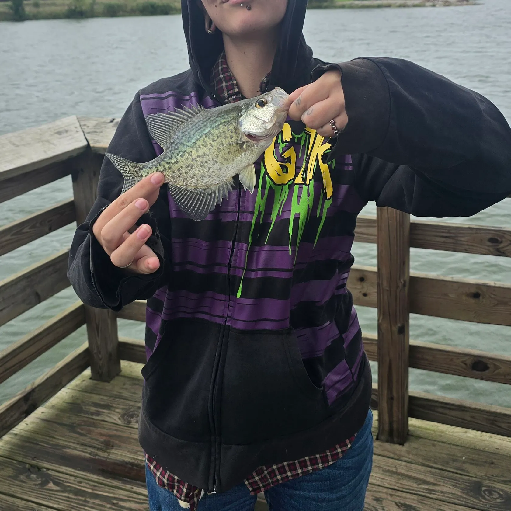 Black crappie caught on Fishbrain