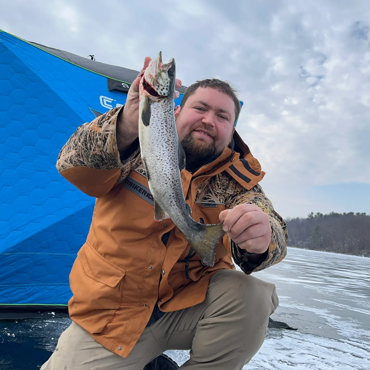 The most recent Landlocked atlantic salmon catches on Fishbrain