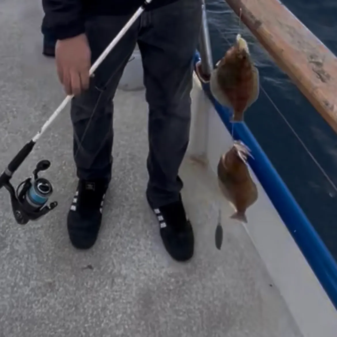 Pacific sanddab caught on Fishbrain