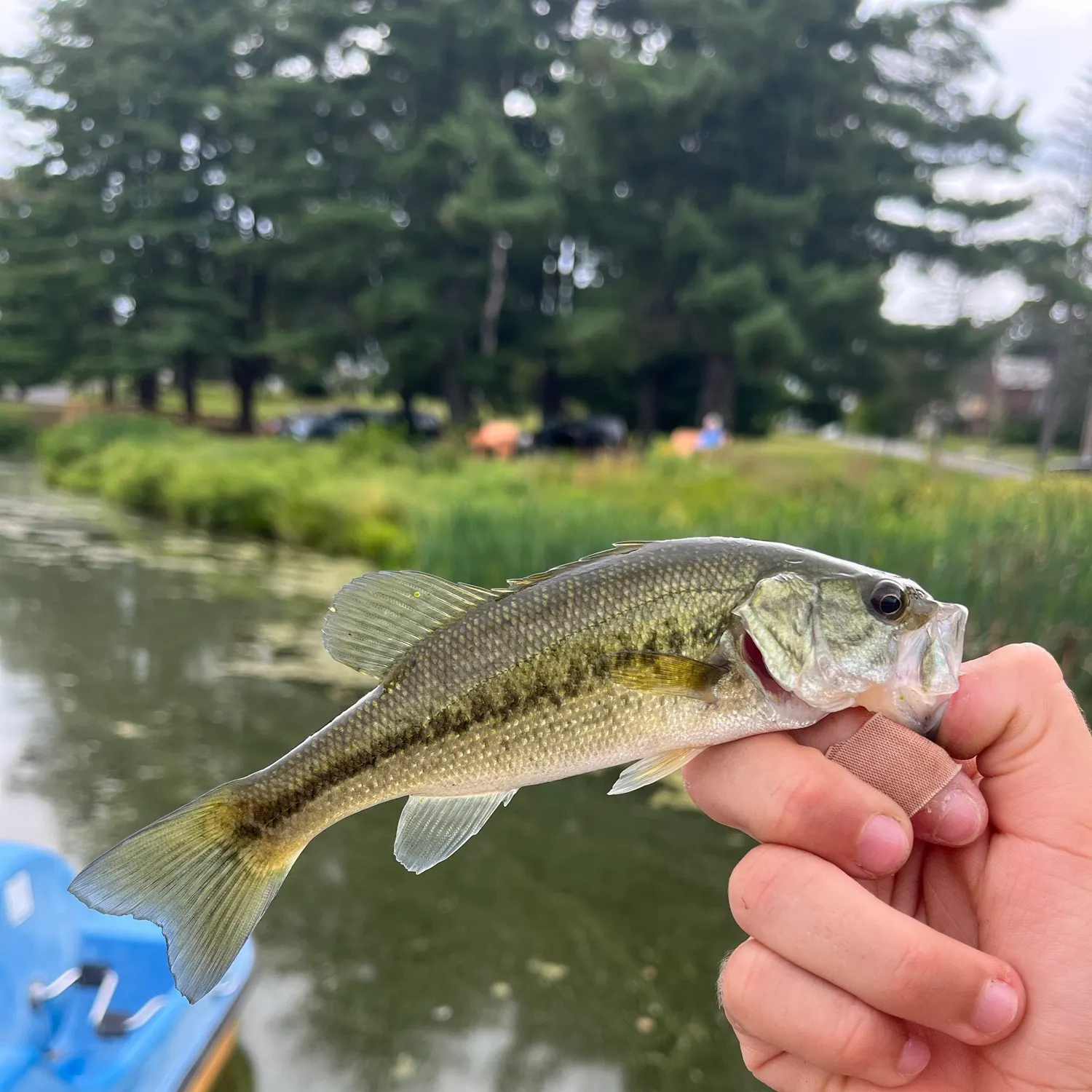 catch