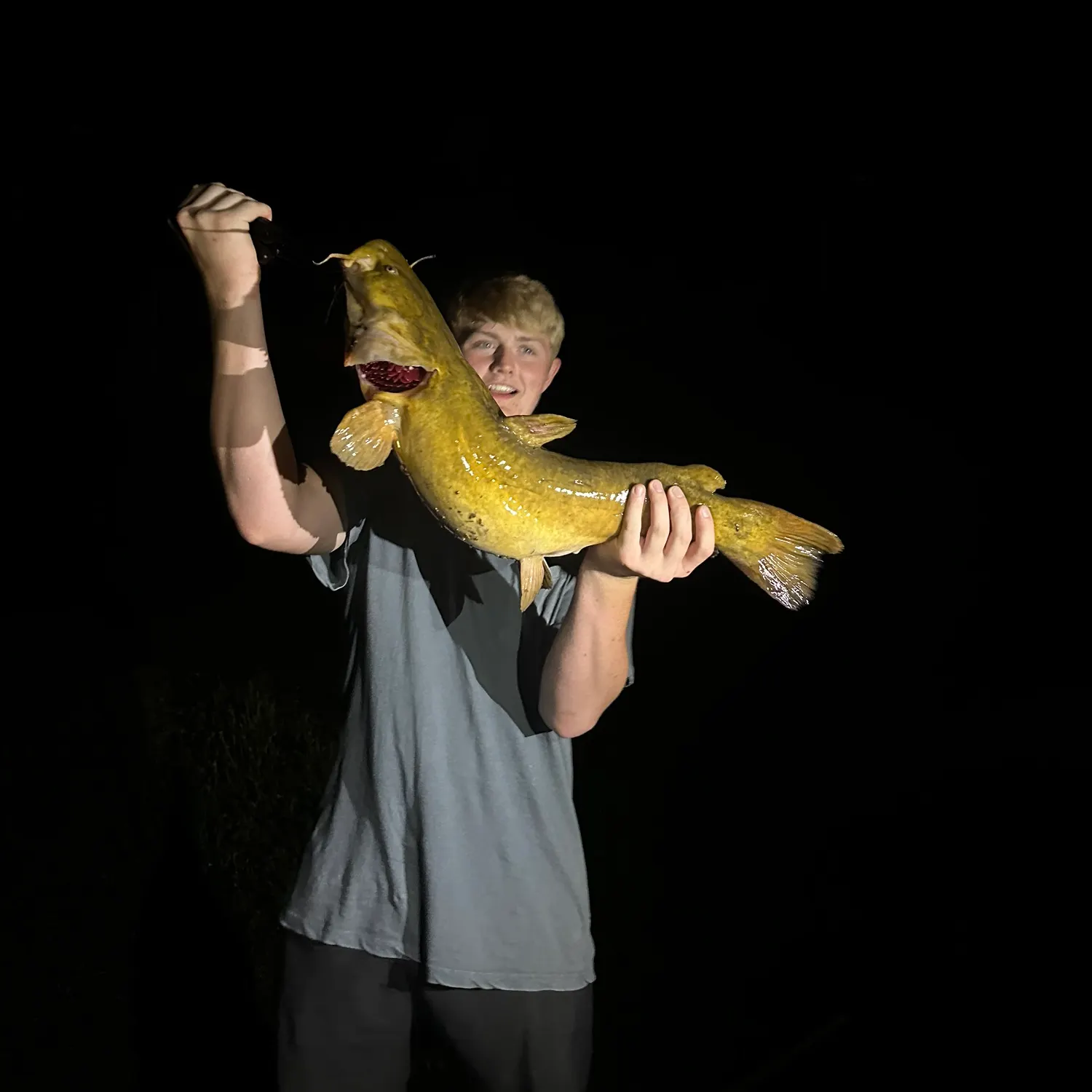 The most recent Flathead catfish catches on Fishbrain