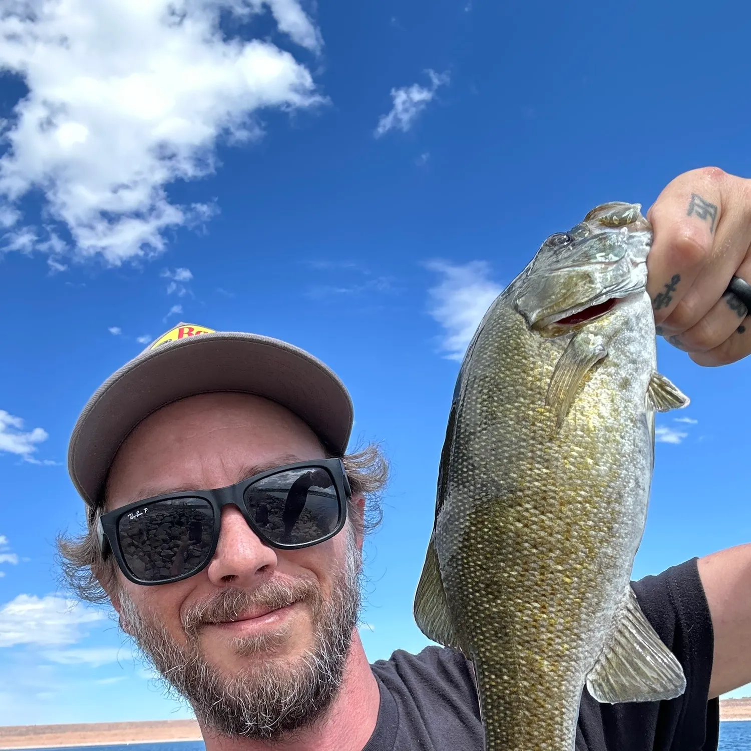 Smallmouth bass caught on Fishbrain