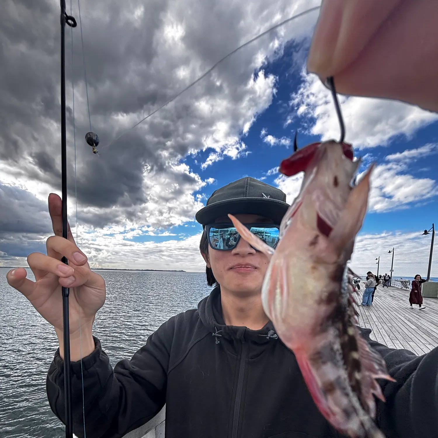 The most recent Striped trumpeter catches on Fishbrain