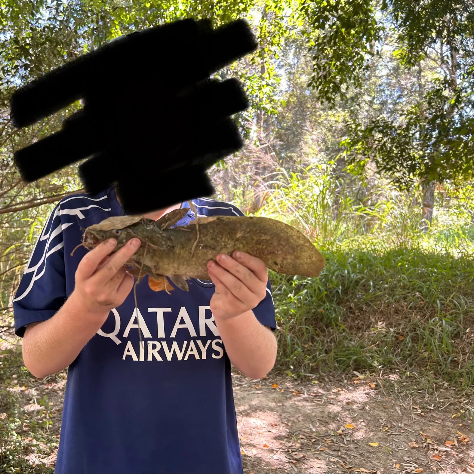 The most recent Dewfish catches on Fishbrain