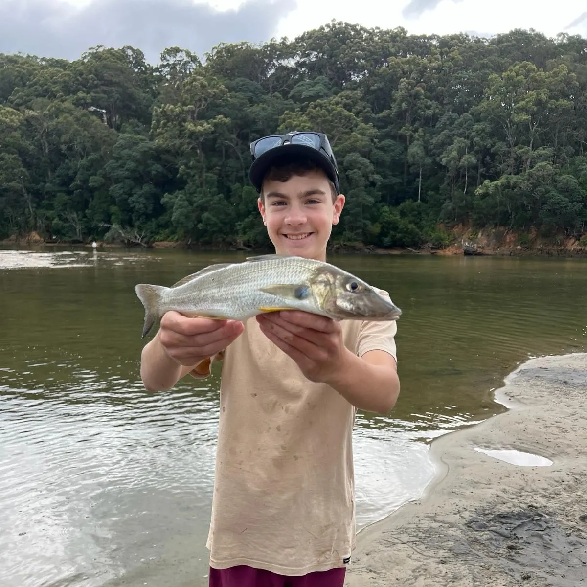 The most recent Sand sillago catches on Fishbrain