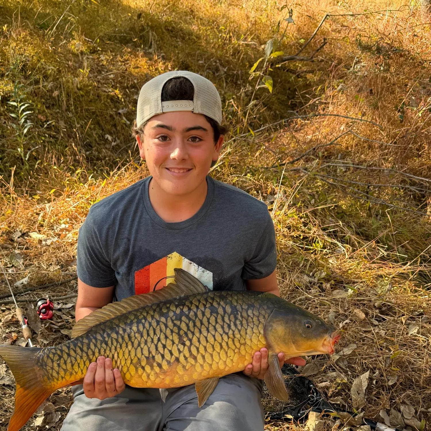 Common carp caught on Fishbrain