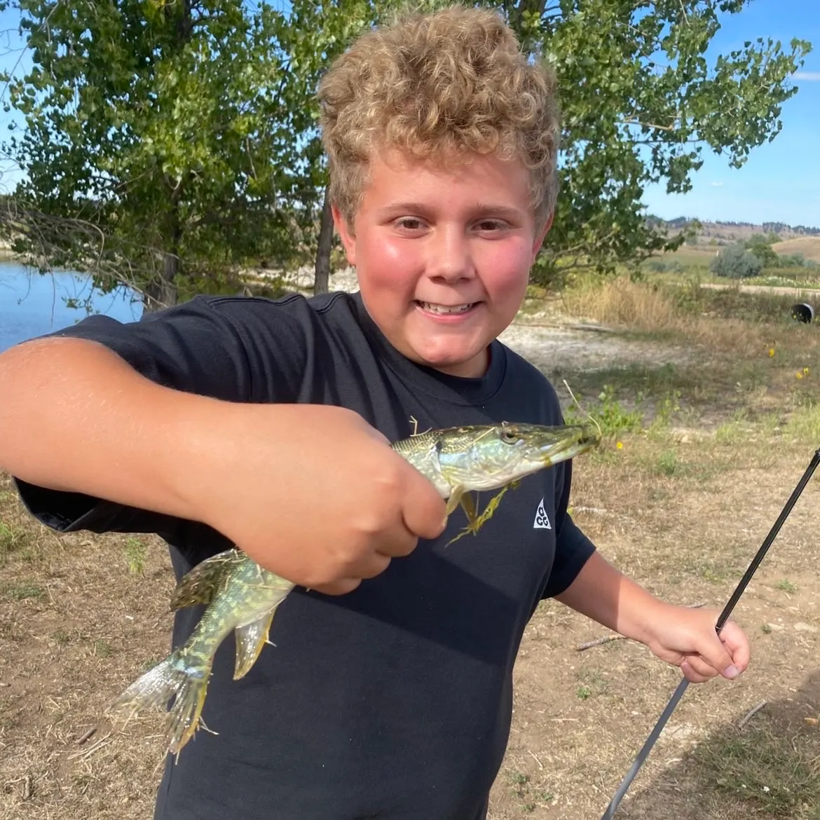 Northern pike caught on Fishbrain