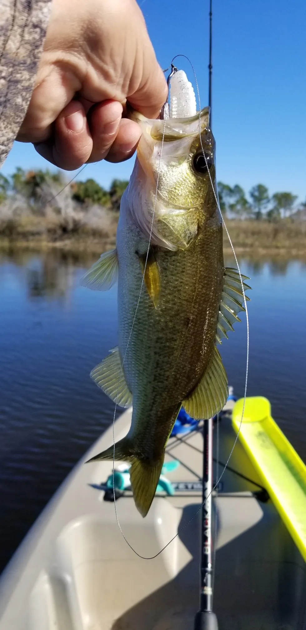 Post image from bassin-on-a-budget