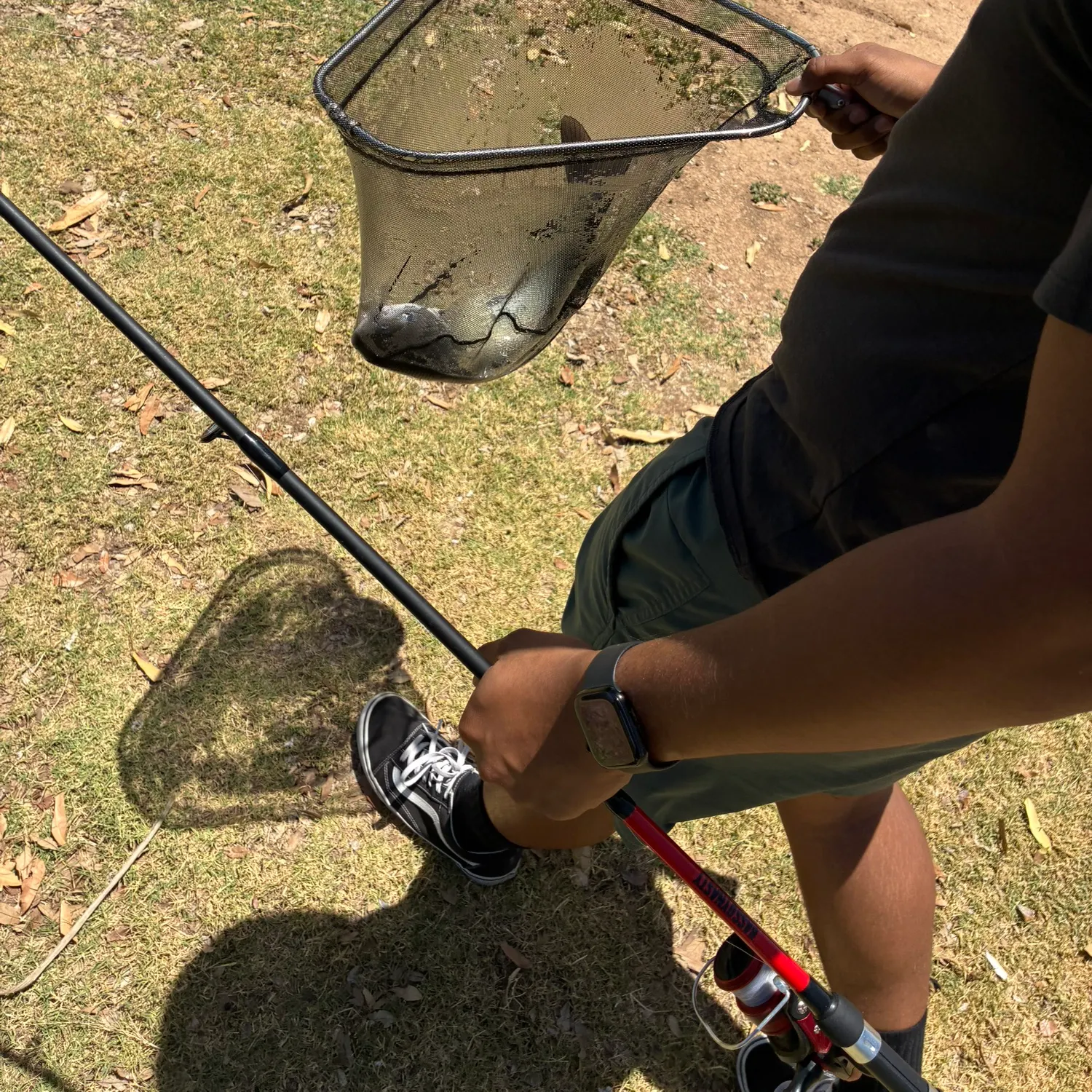 catch