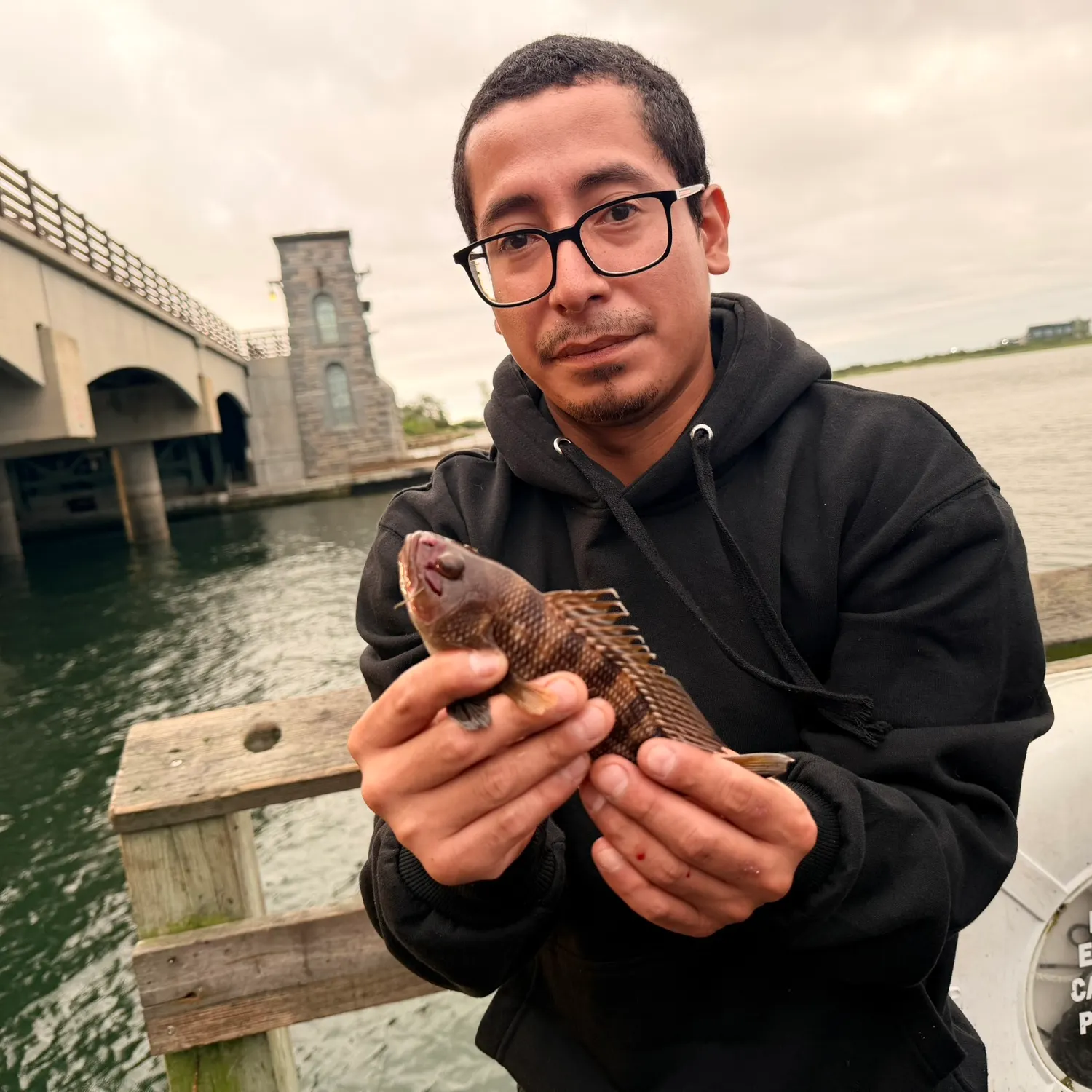Tautog caught on Fishbrain