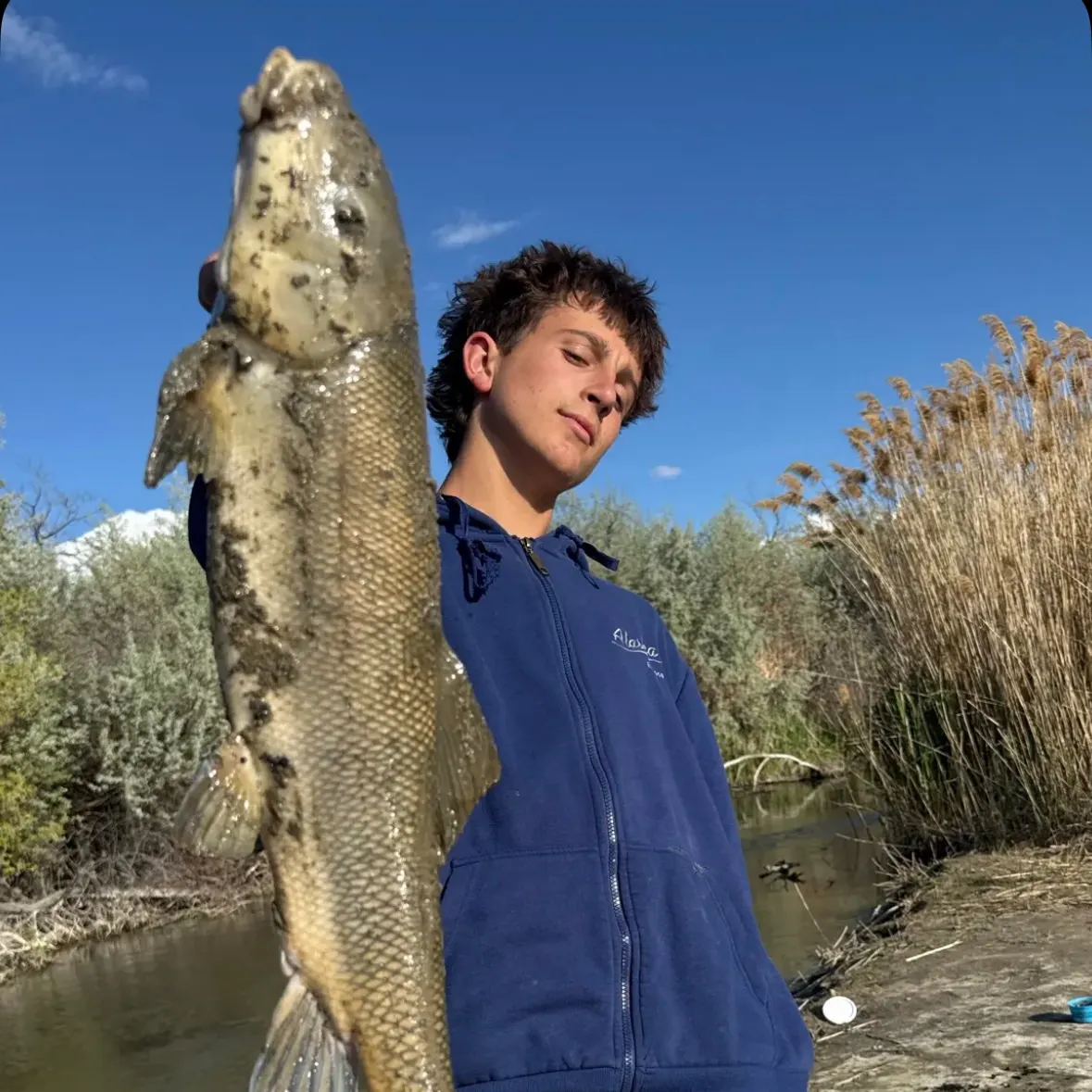 The most recent Sacramento sucker catches on Fishbrain