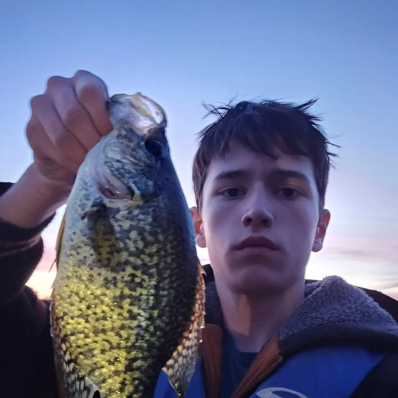 Black crappie caught on Fishbrain