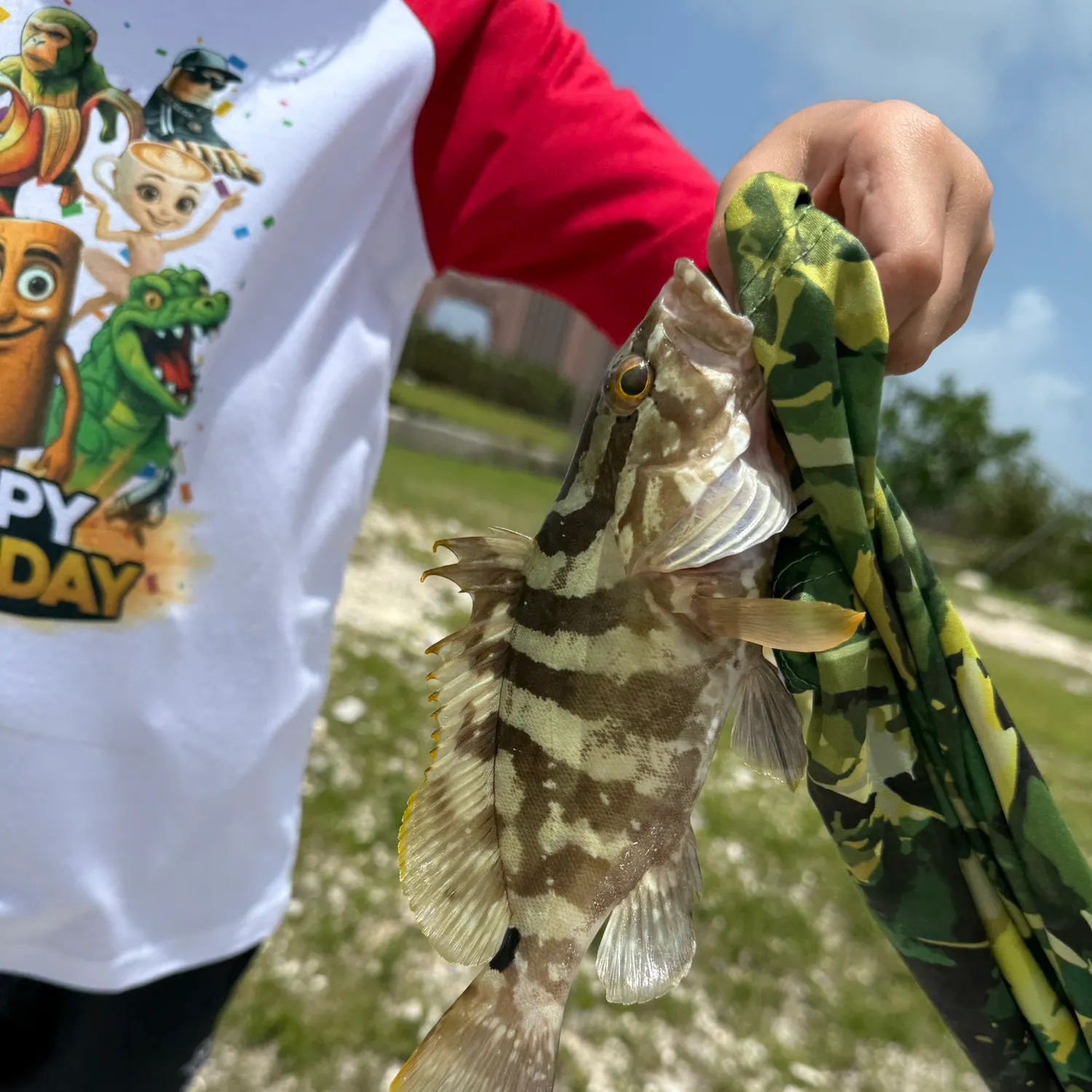The most recent Nassau grouper catches on Fishbrain