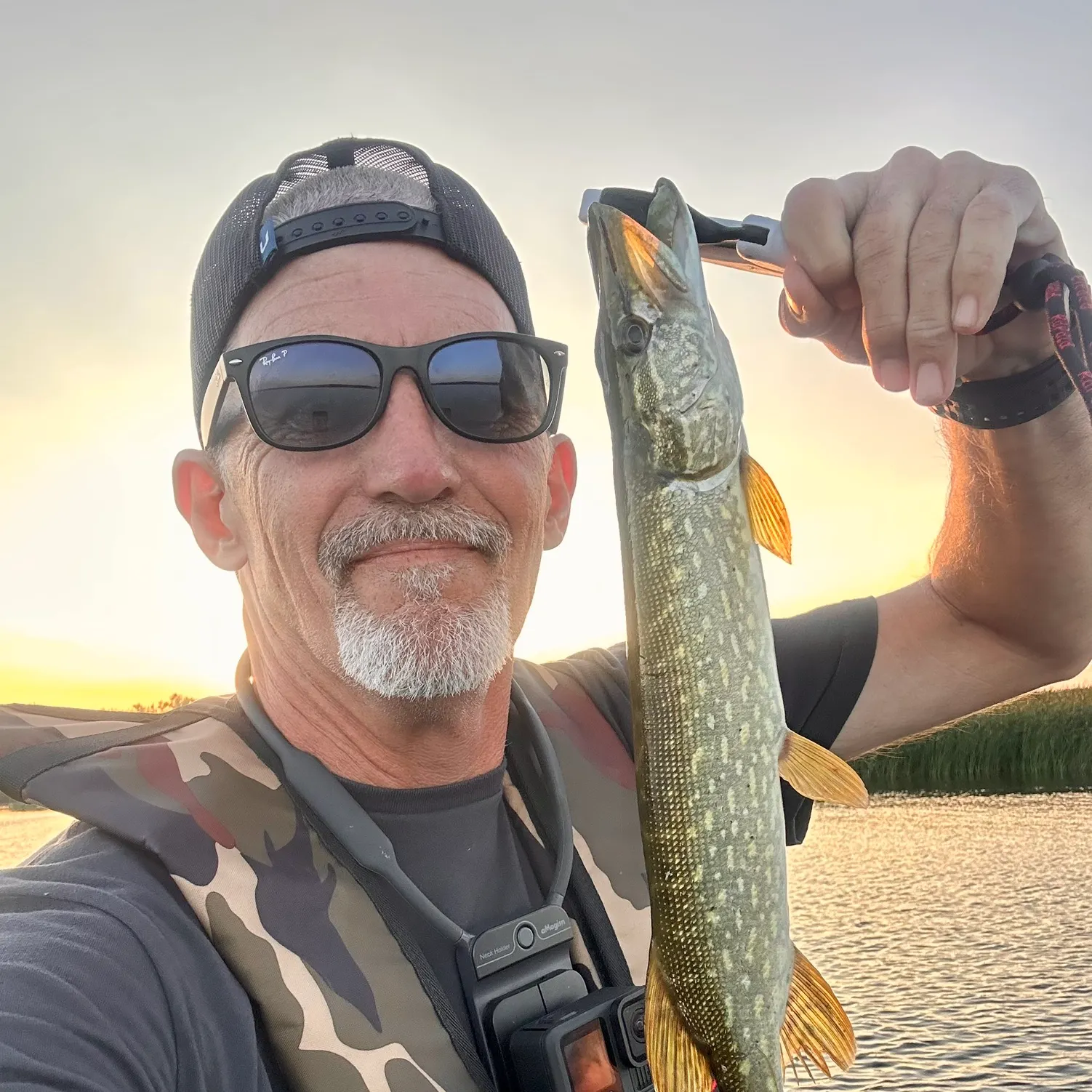 Northern pike caught on Fishbrain