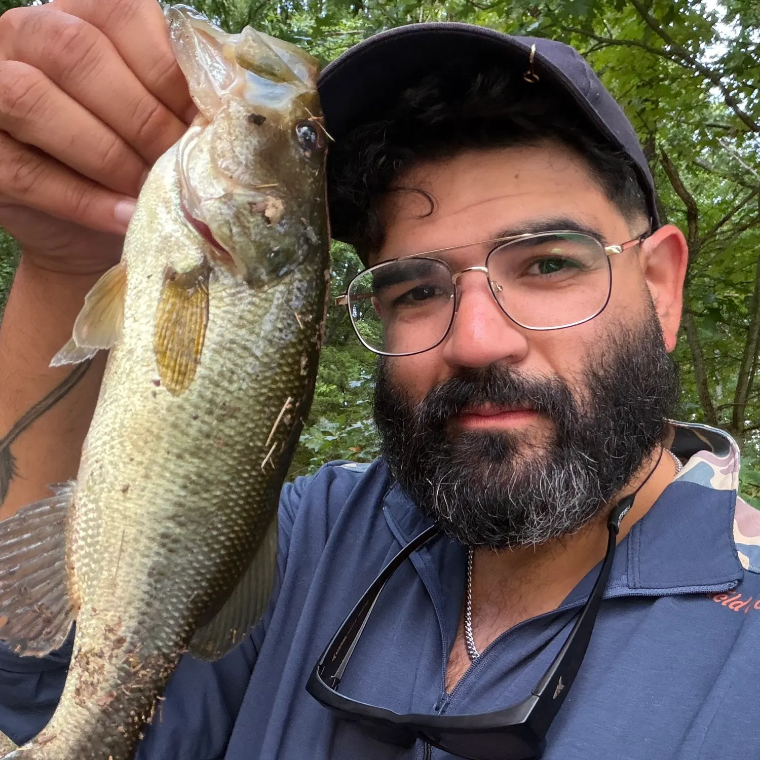Largemouth bass caught on Fishbrain