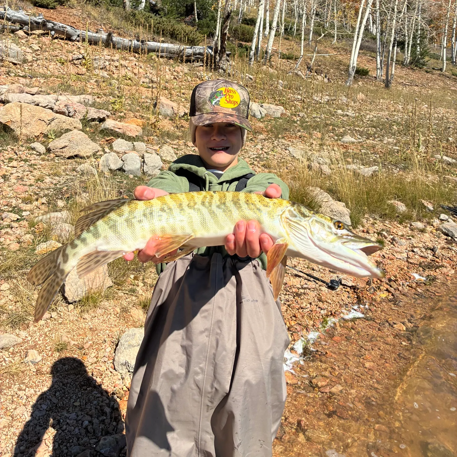 Tiger muskie caught on Fishbrain