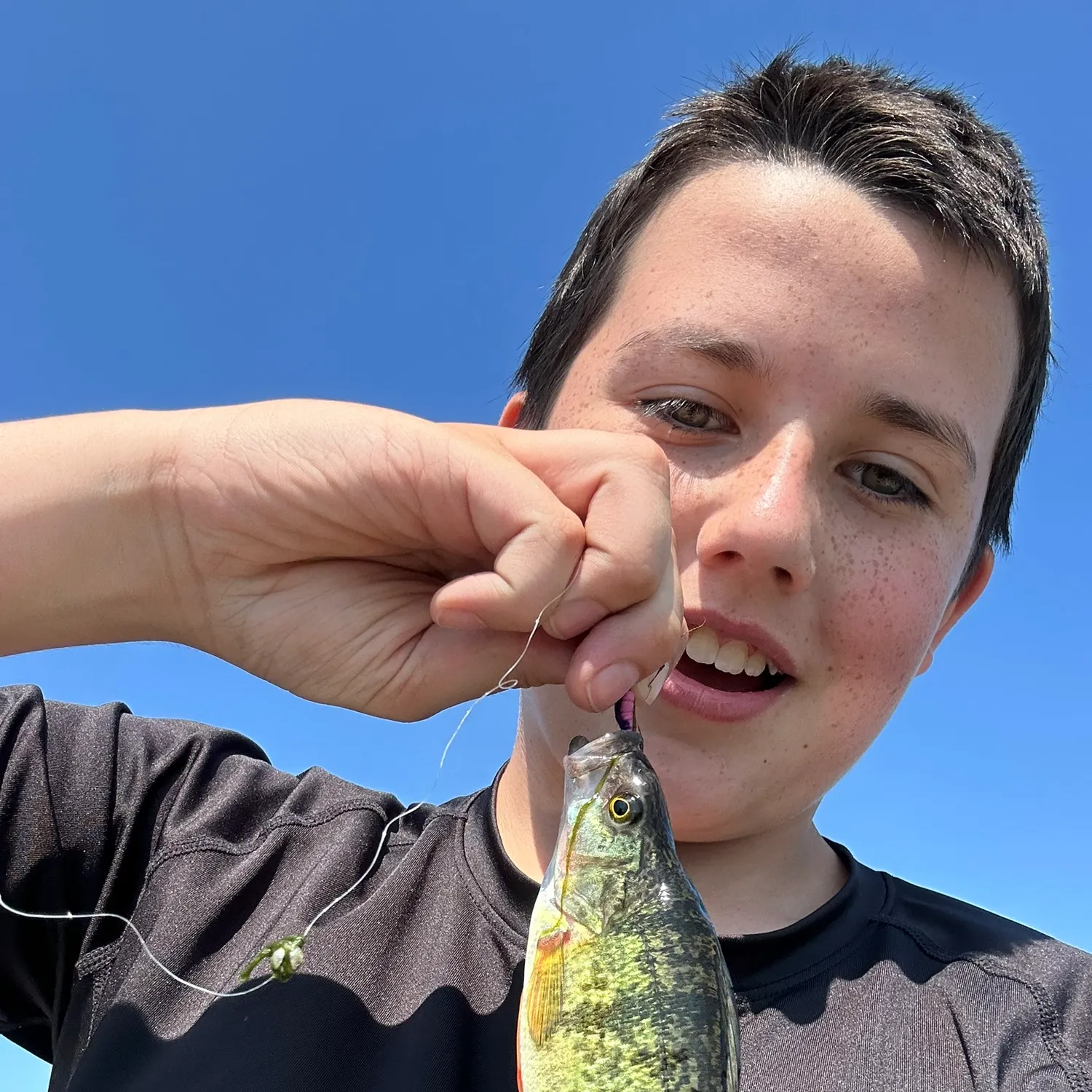 Yellow perch caught on Fishbrain