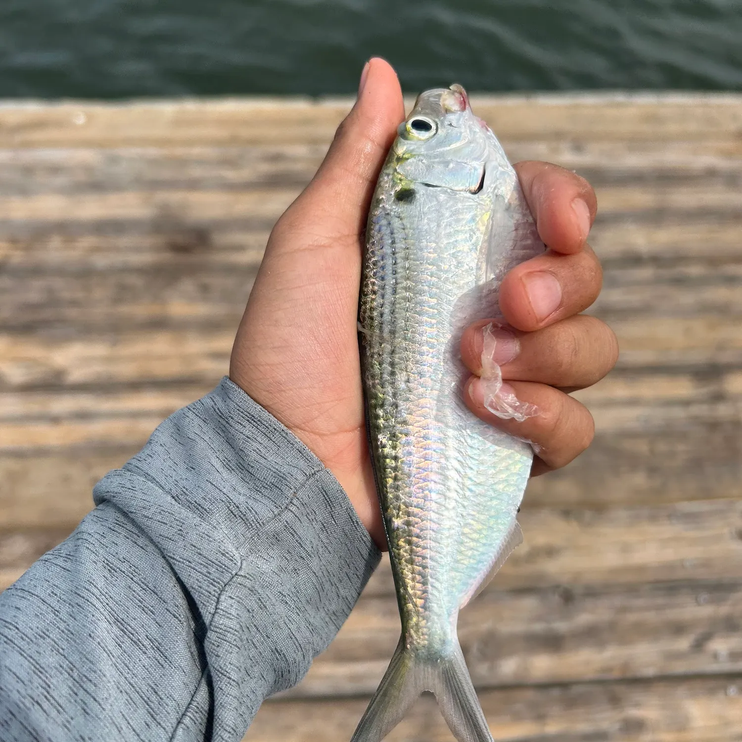 most liked catch image