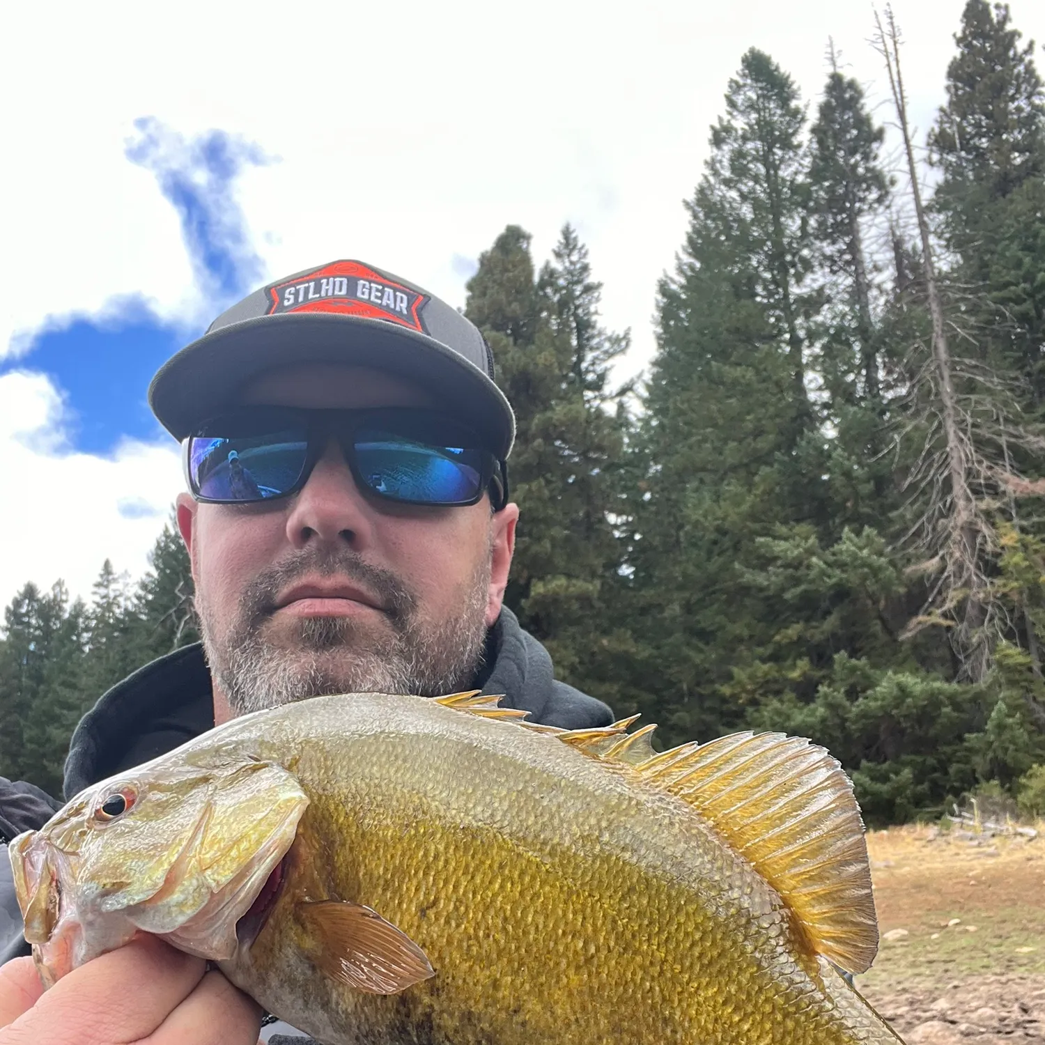 Smallmouth bass caught on Fishbrain
